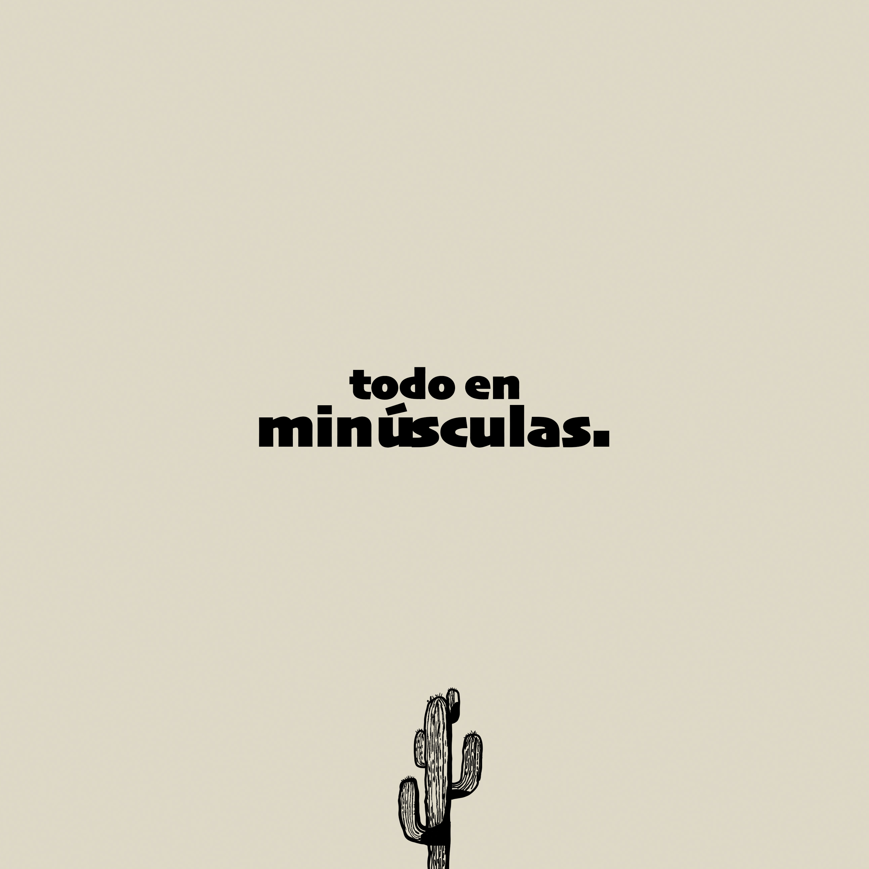 todo en minúsculas