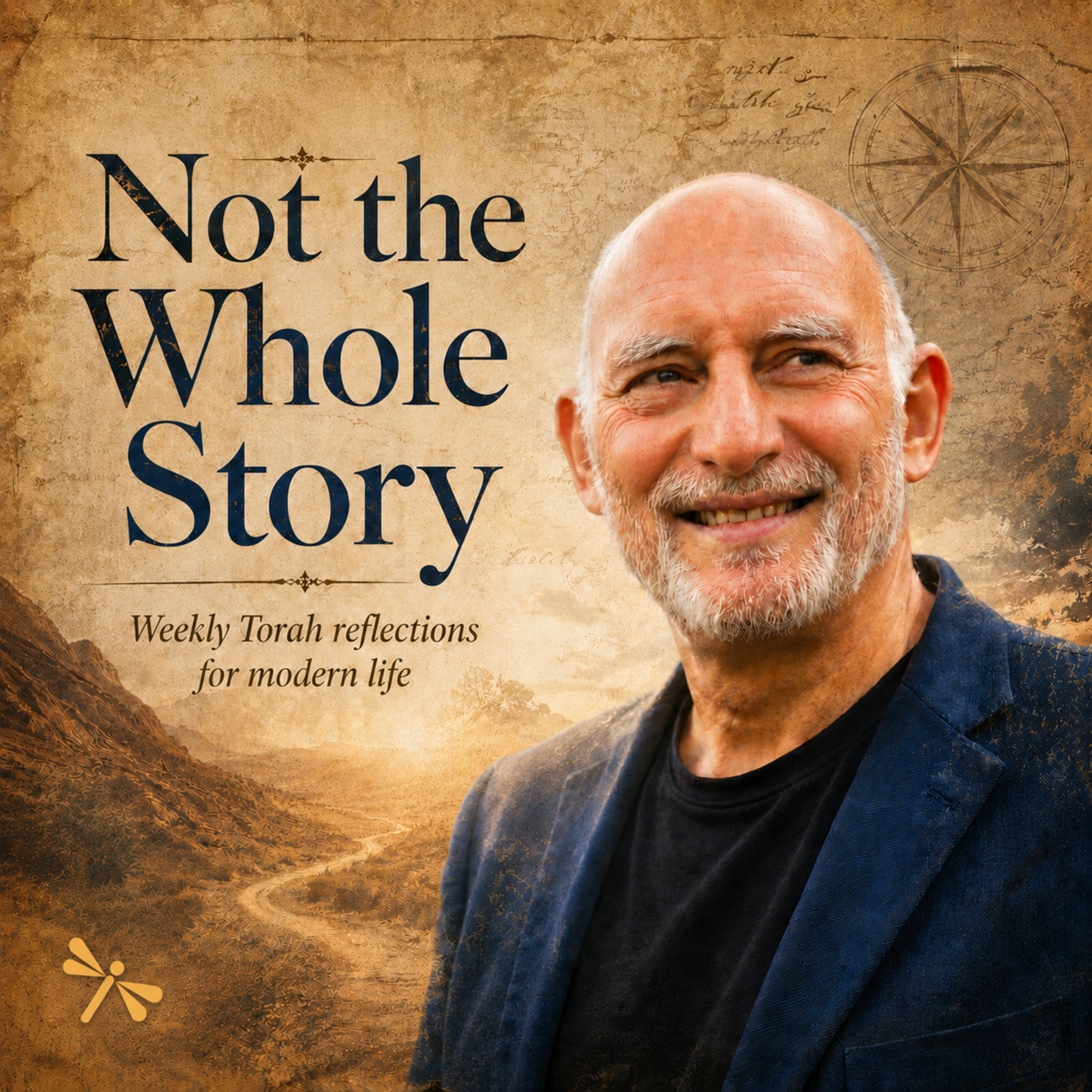 Not the Whole Story - Weekly Torah reflections for inner work and the stories that shape our lives podcast artwork