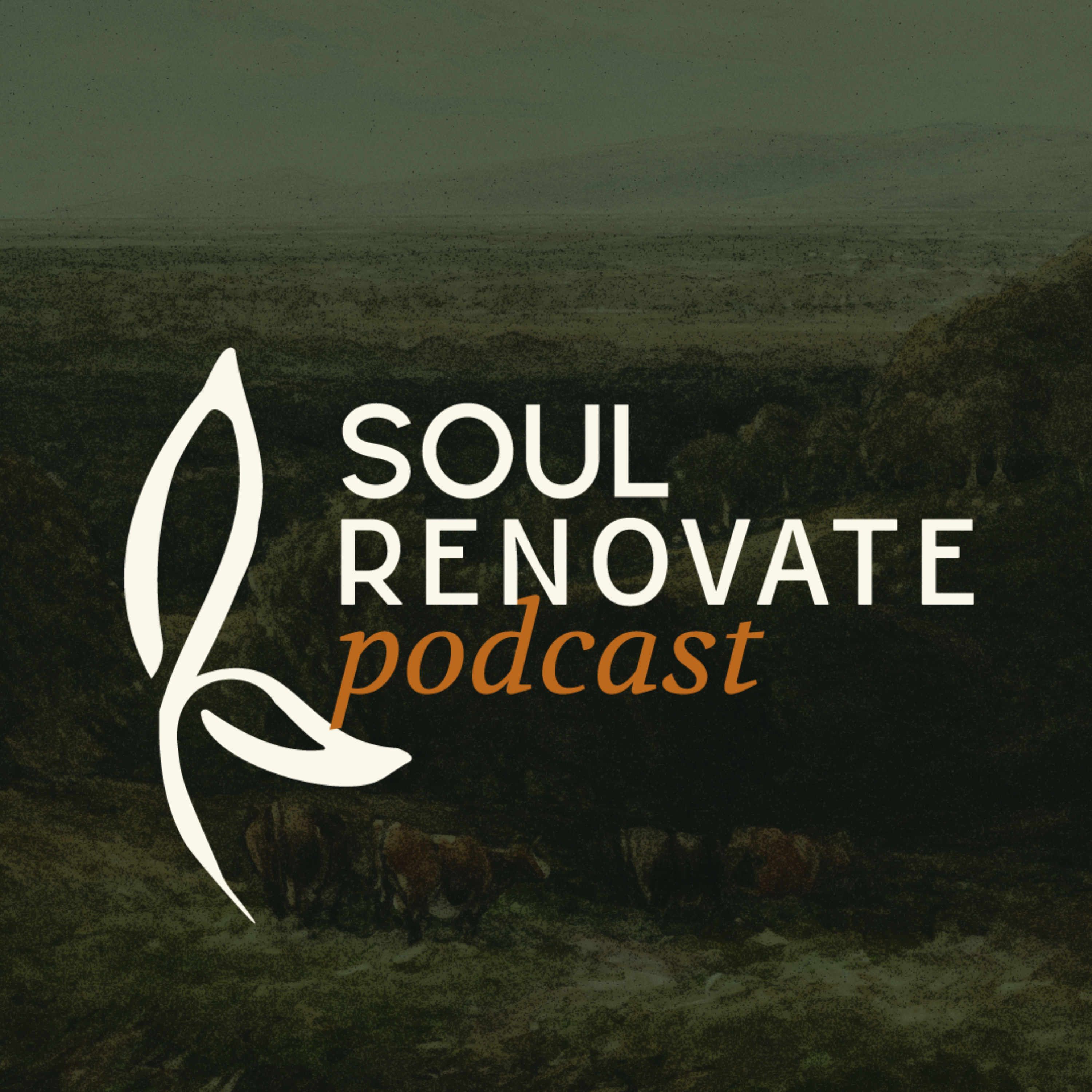 Soul Renovate Podcast