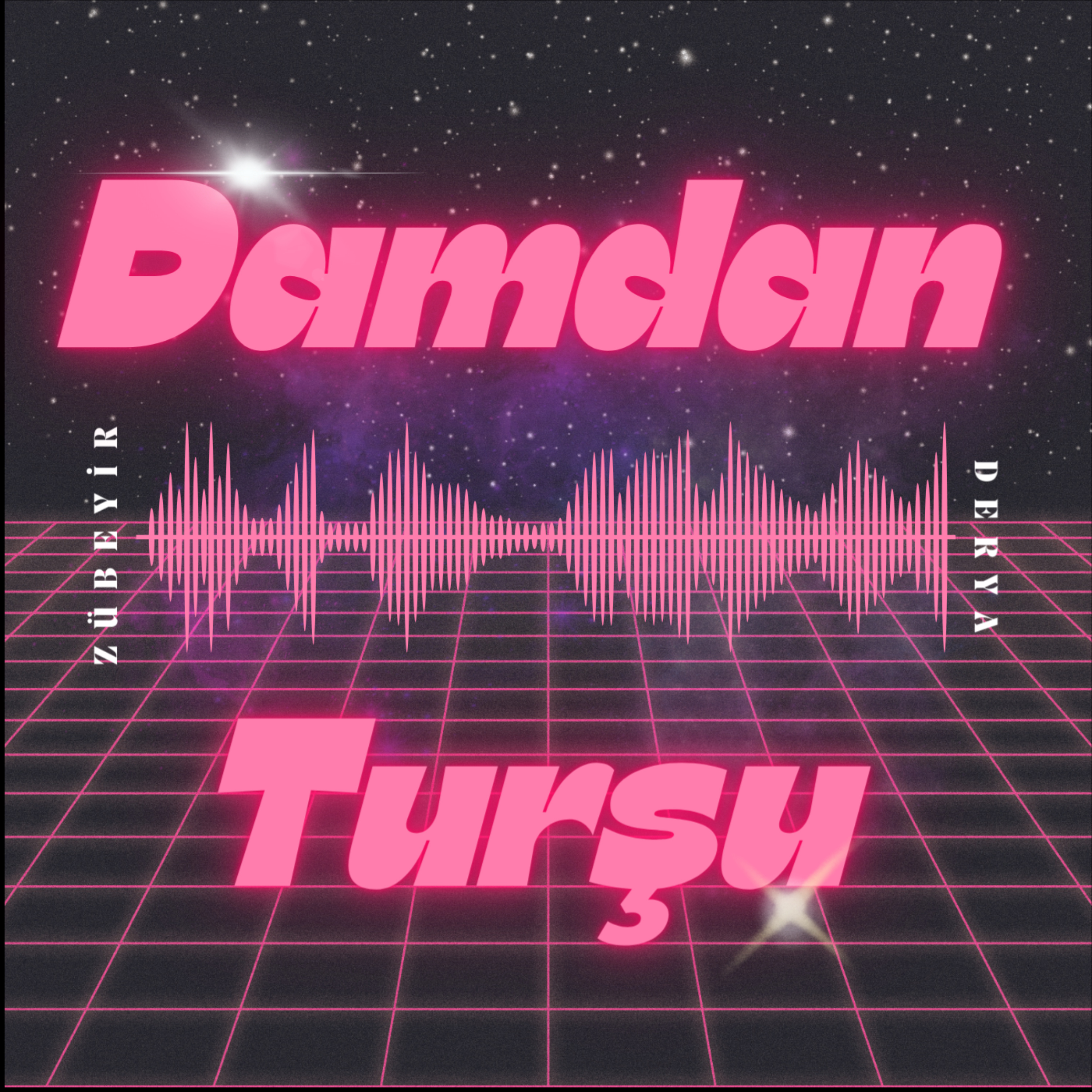 Damdan Turşu