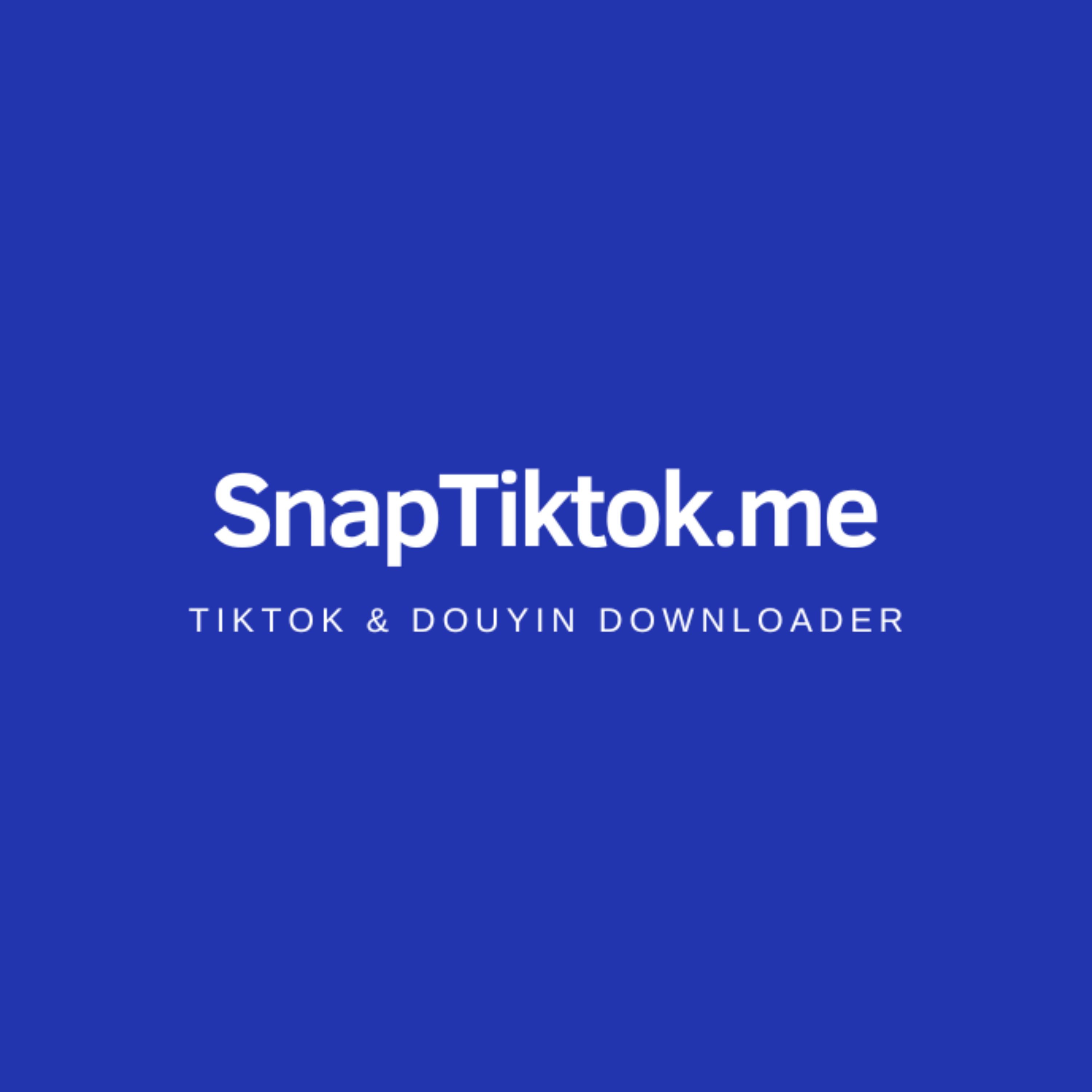 SnapTik – 로고나 워터마크 없이 Tiktok 비디오를 온라인으로 다운로드하세요