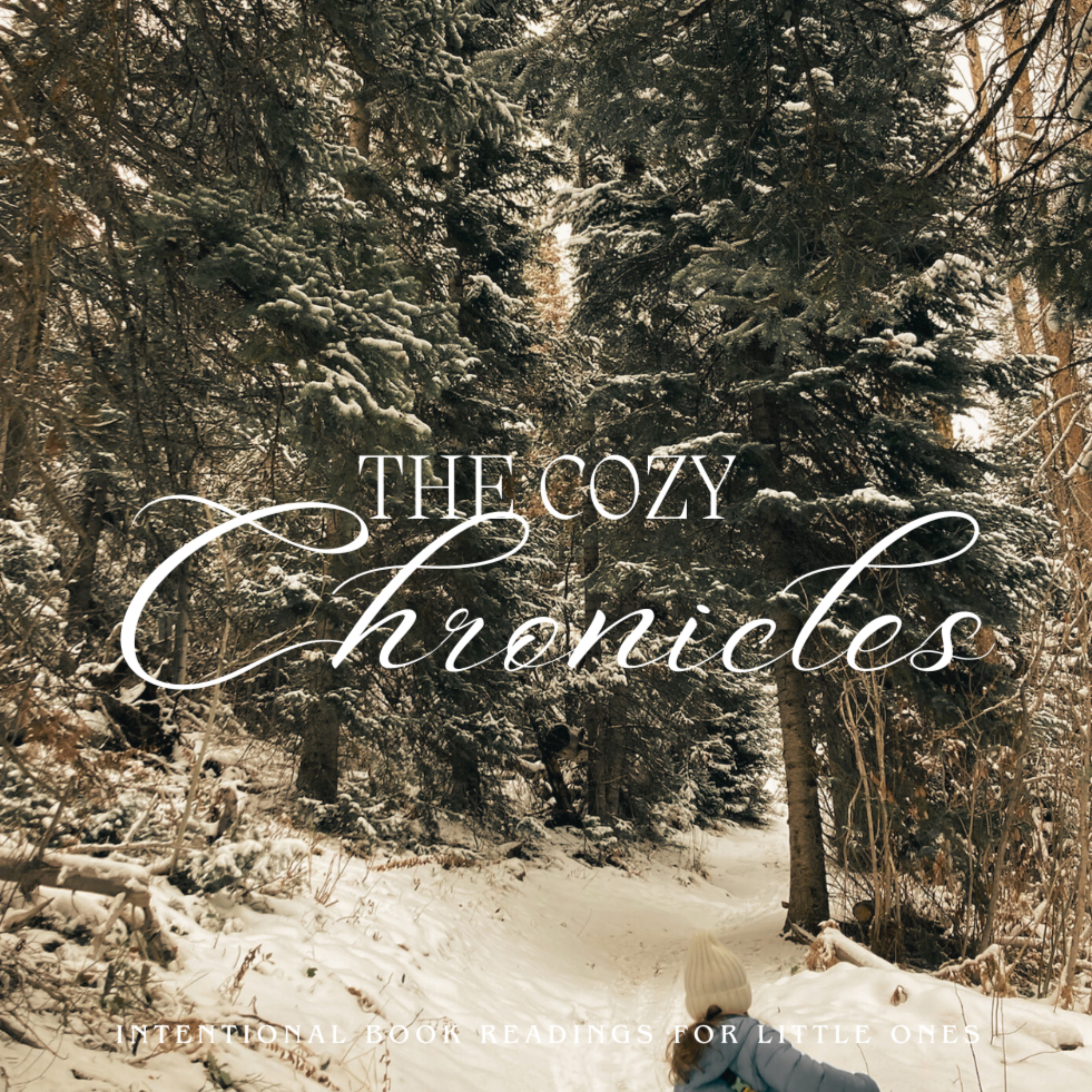 The Cozy Chronicles