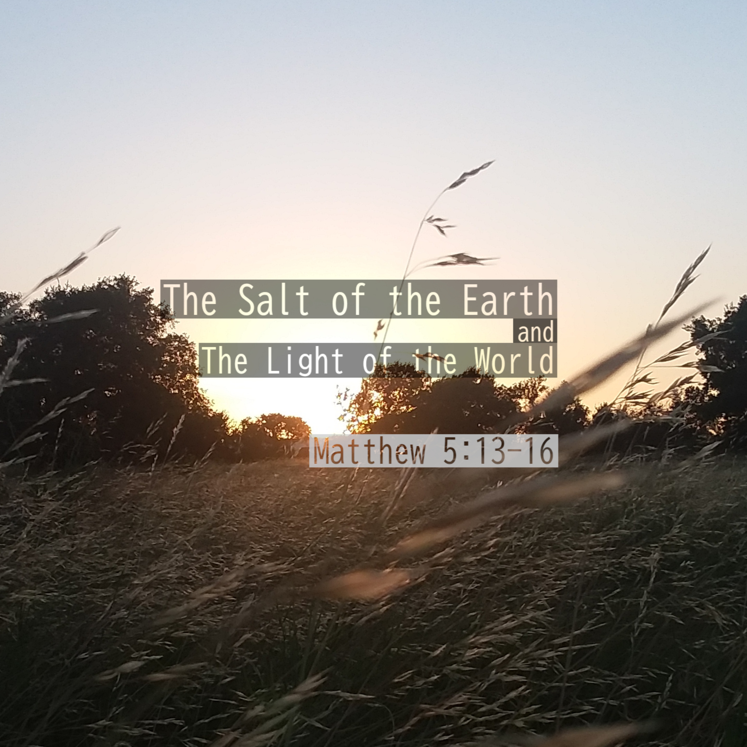 Salt of the Earth Podcast cover