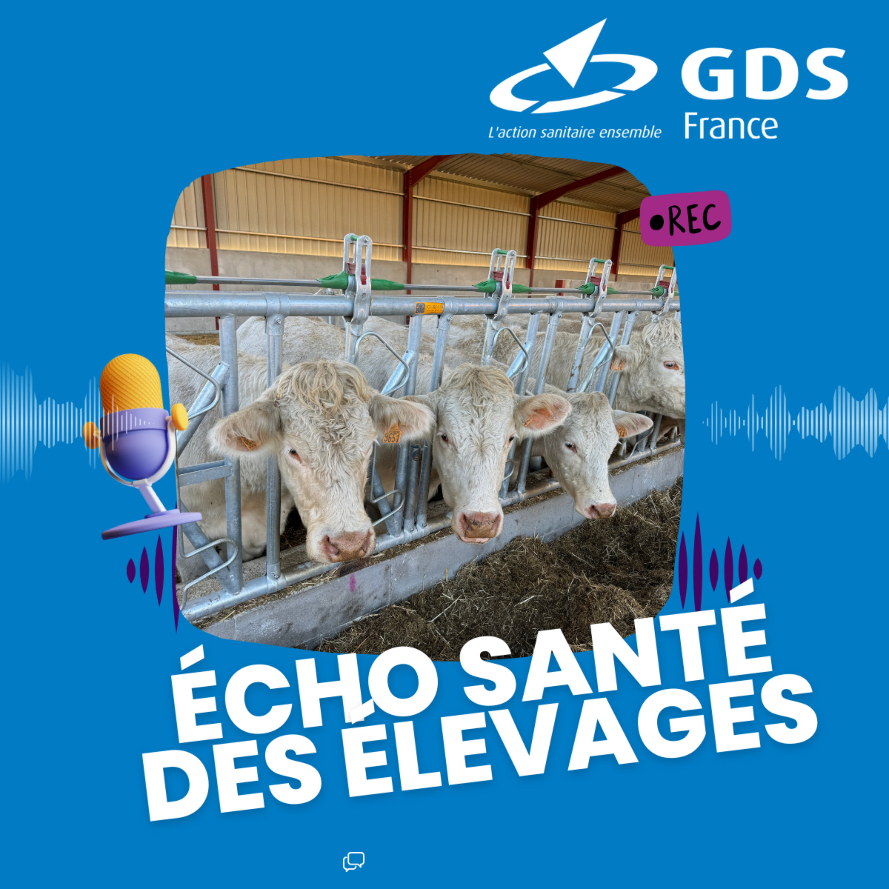 Écho santé des Élevages 