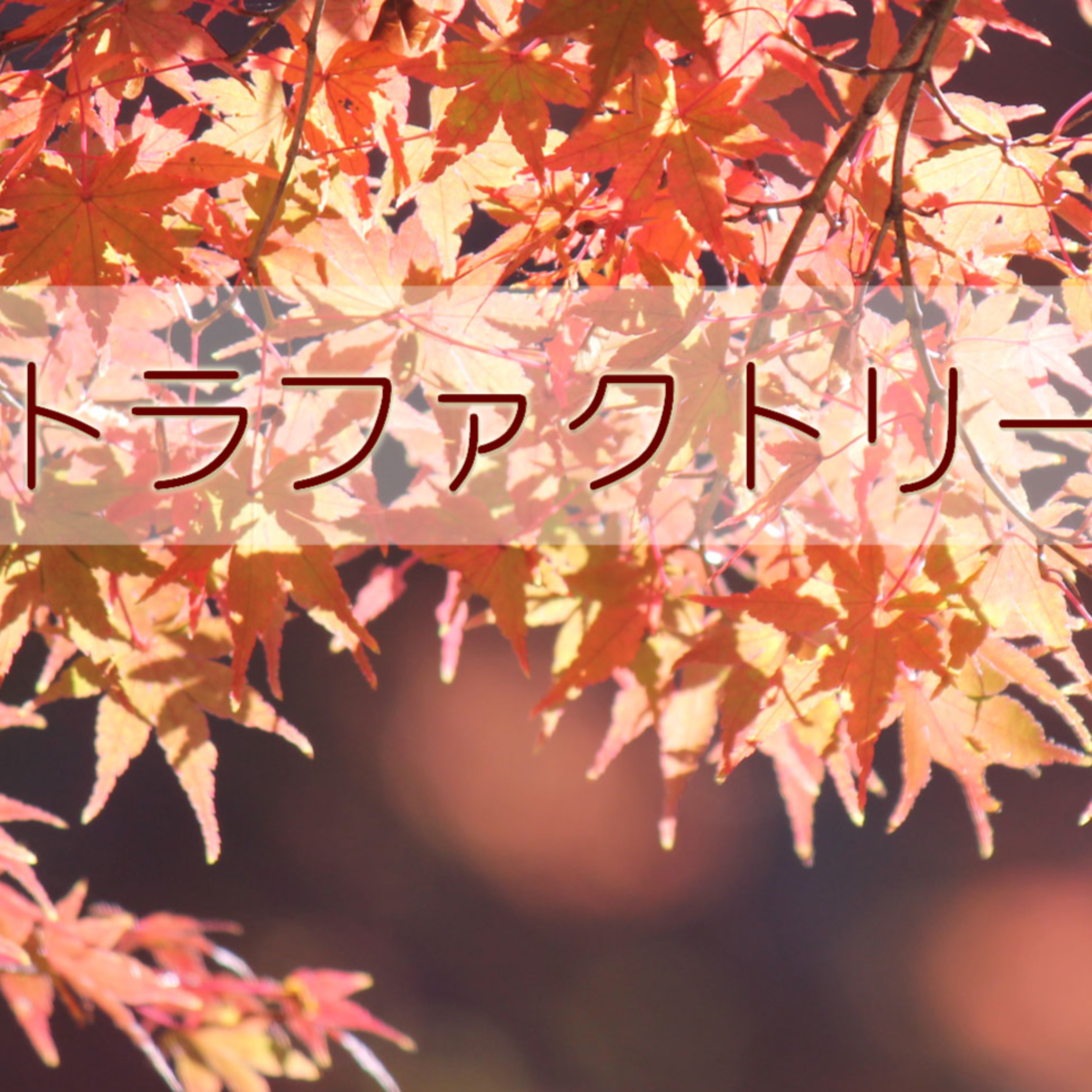 トラファクトリー(トラの工房)