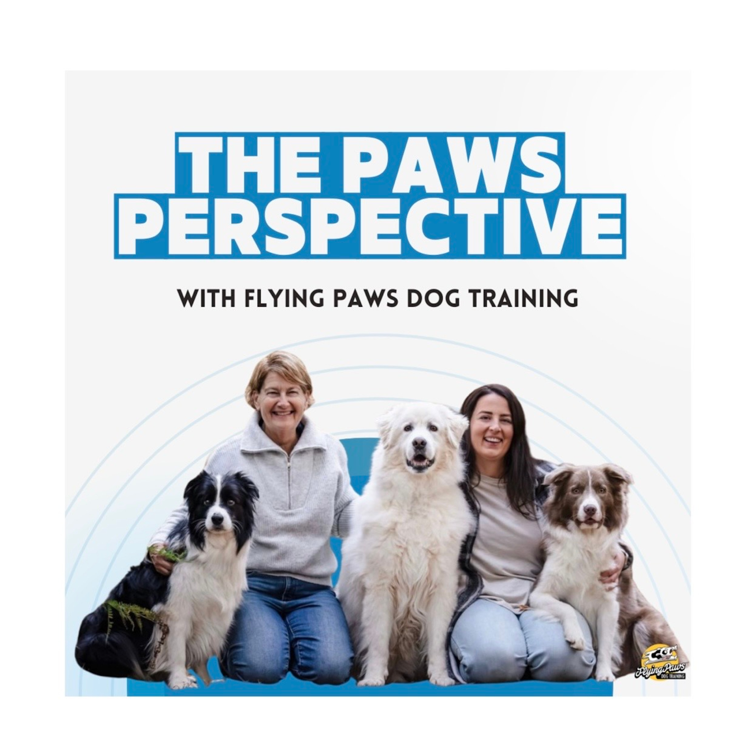 The Paws Perspective