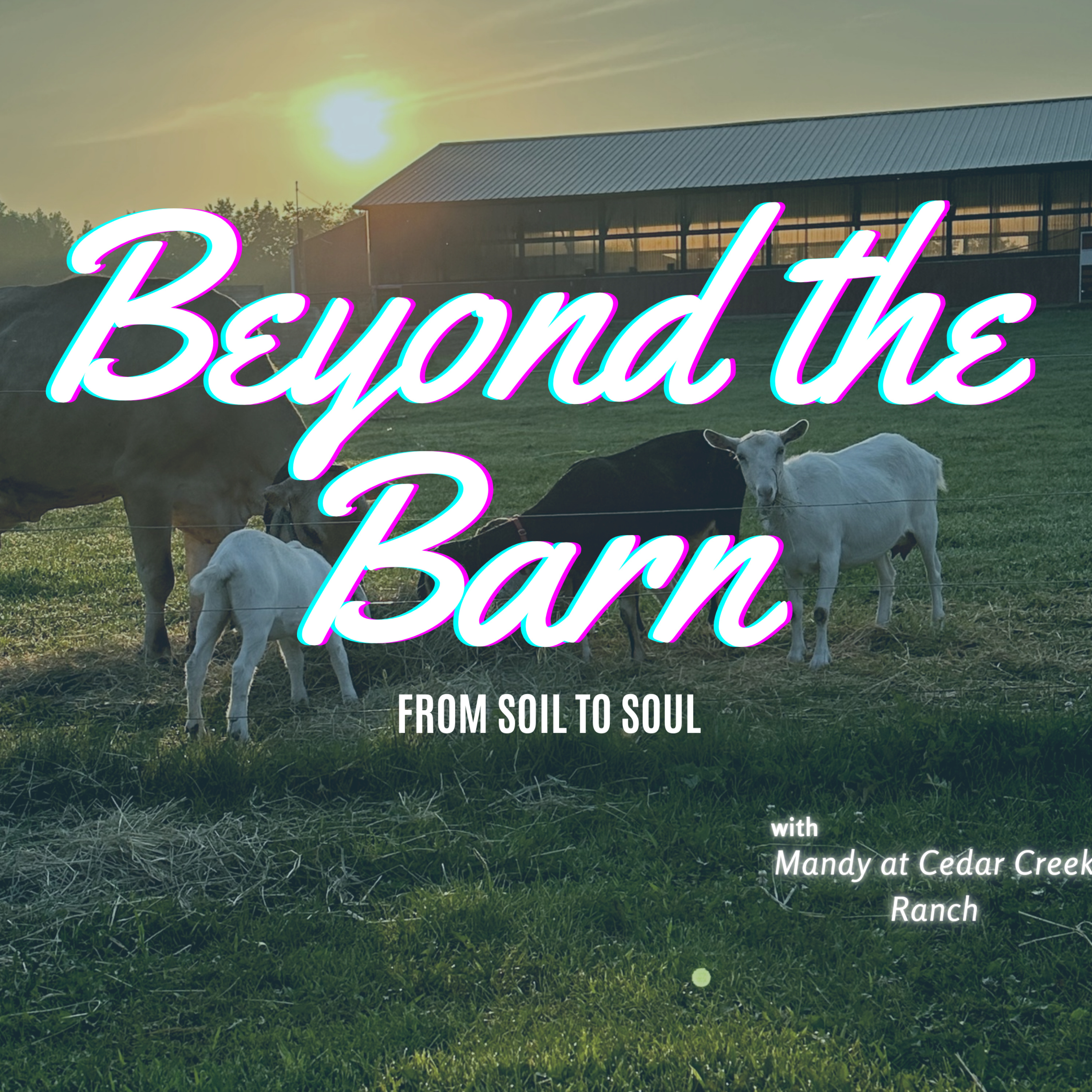Beyond the Barn, from soil to soul cover art
