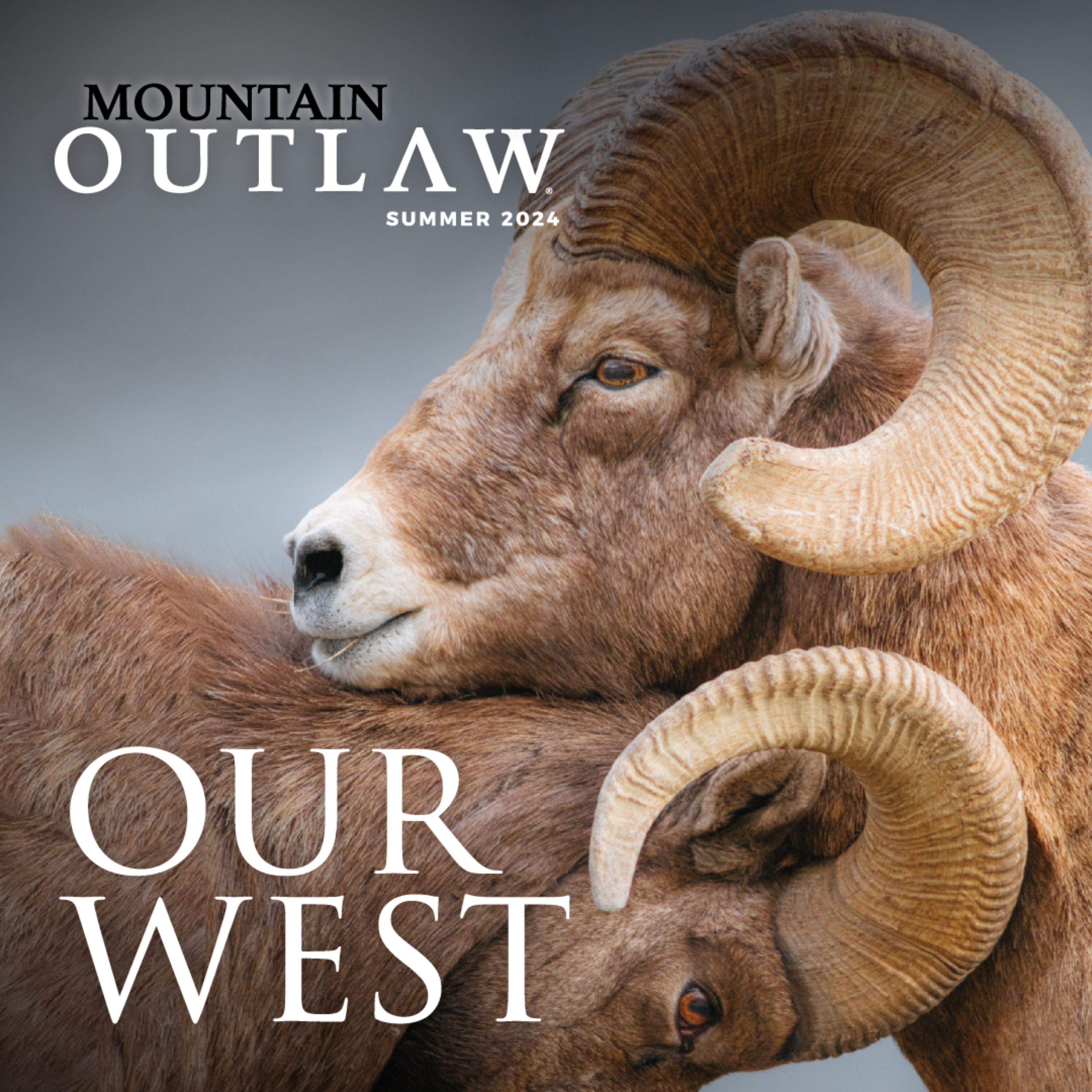 Mountain Outlaw