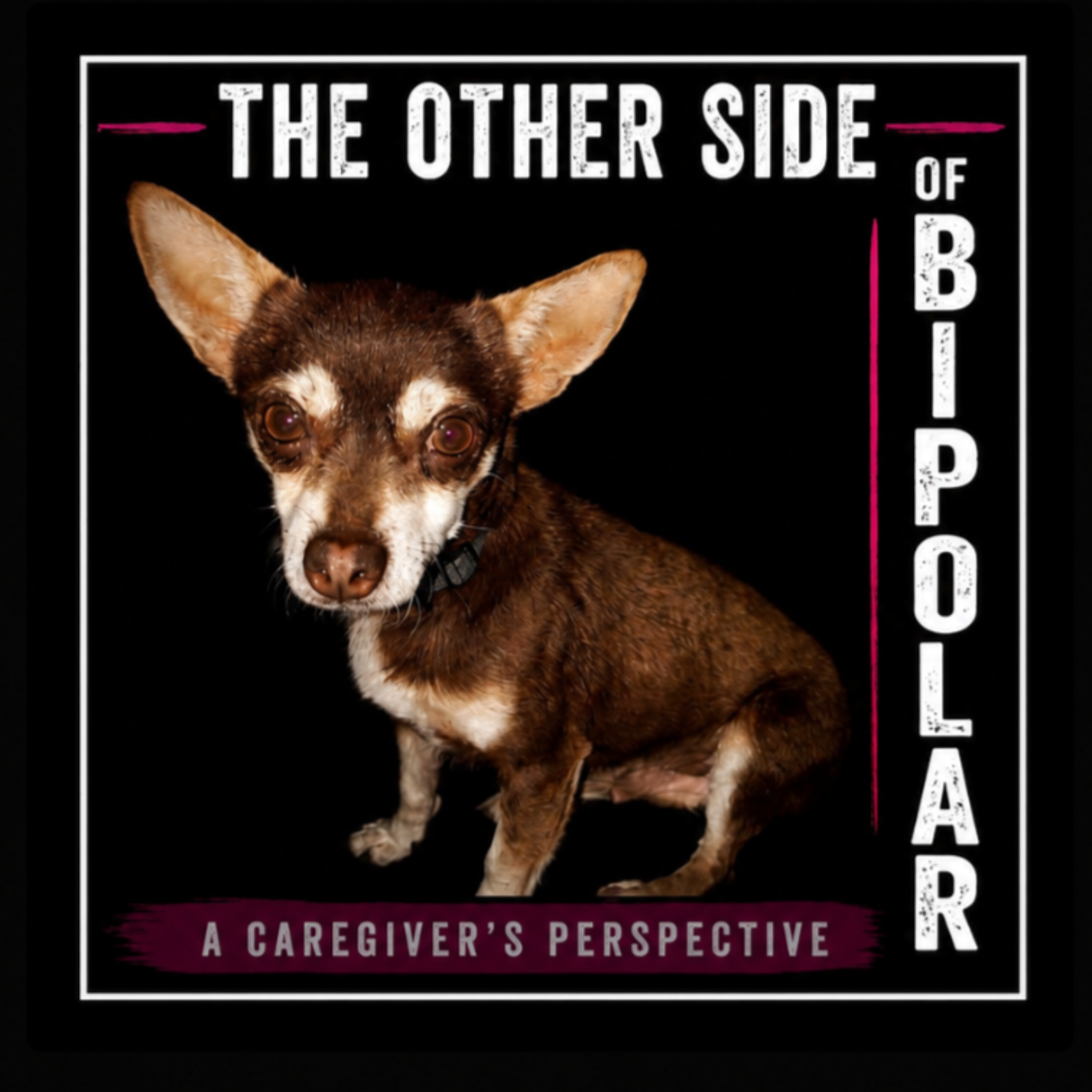 The Other Side of Bipolar podcast artwork