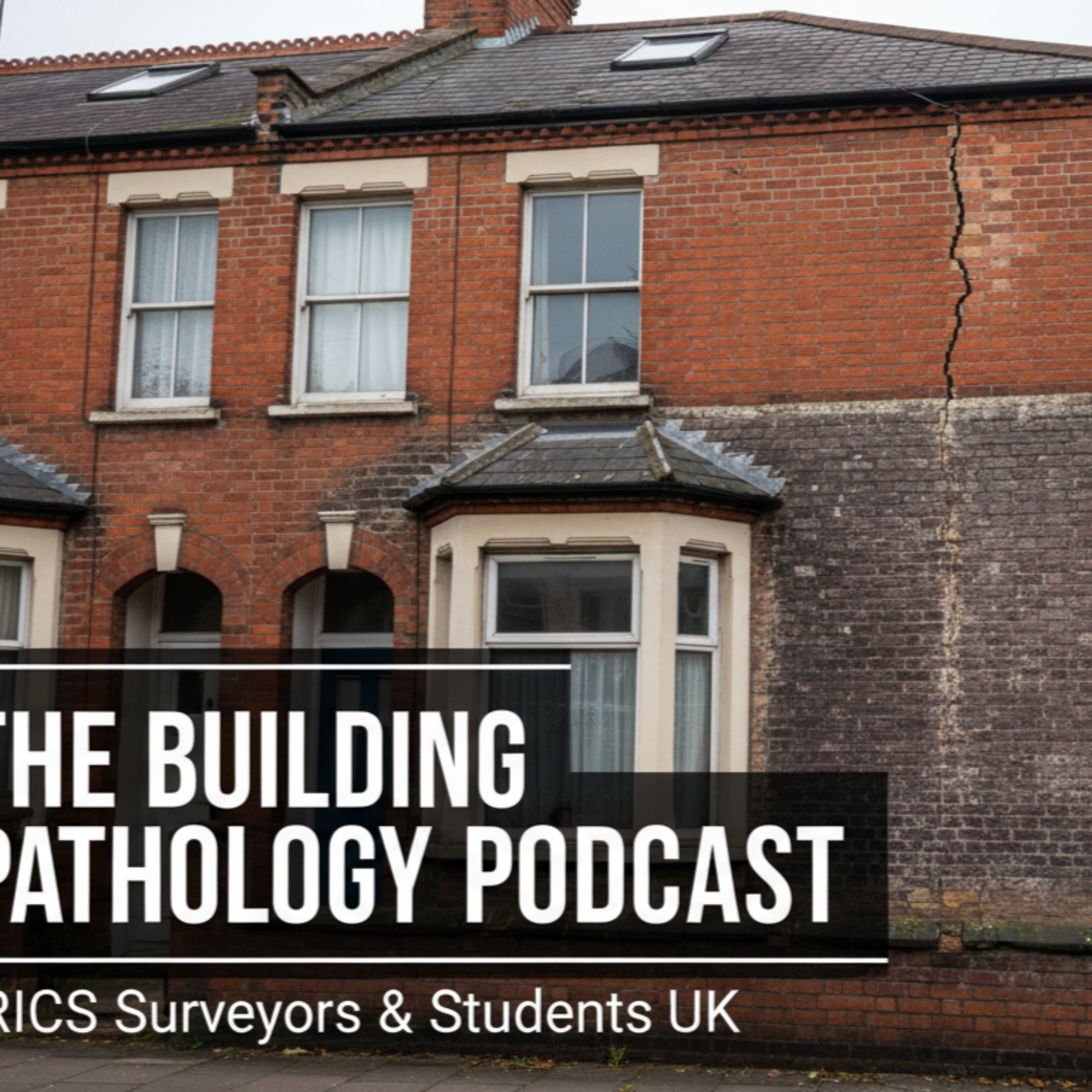 Surveyors Insights cover art