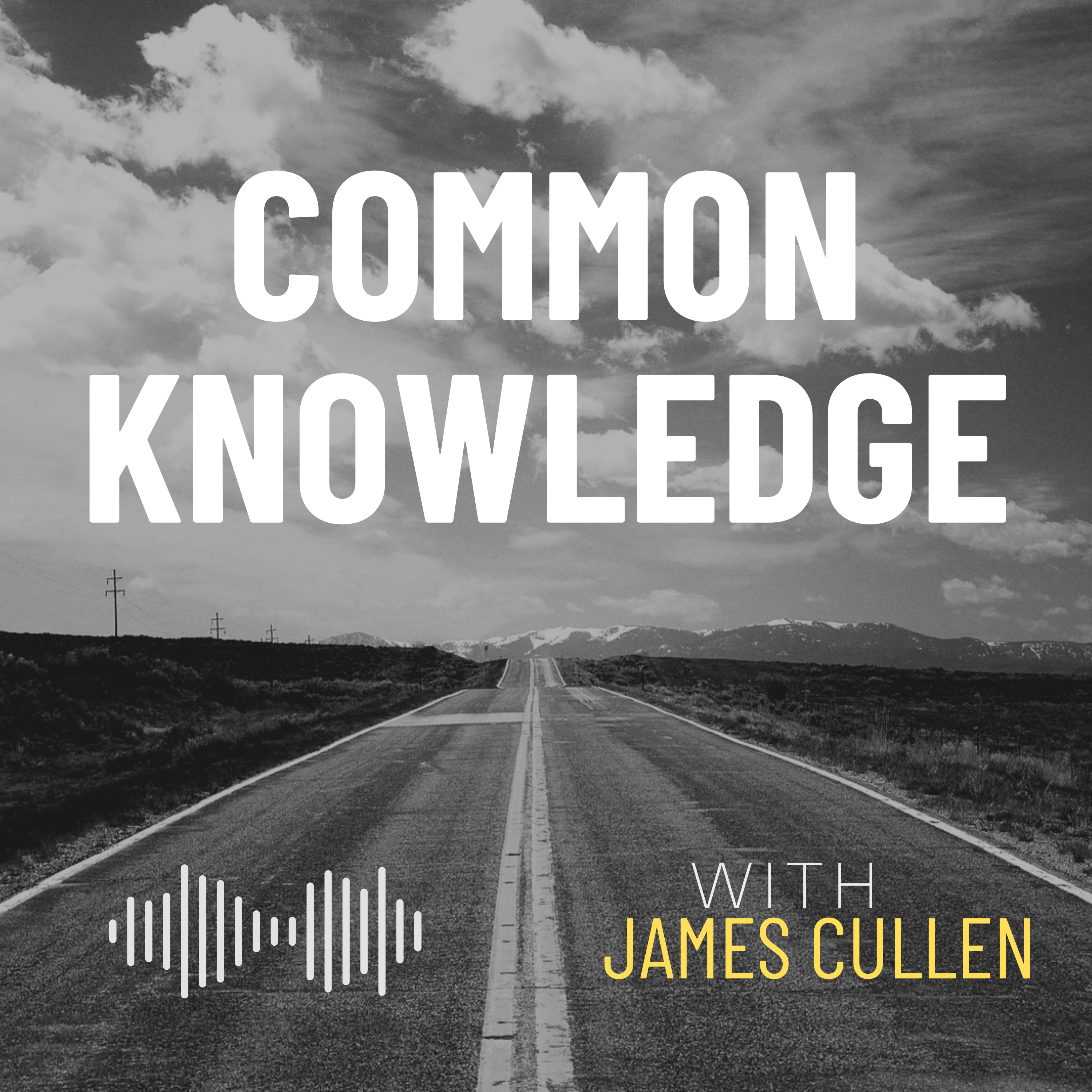 Common Knowledge
