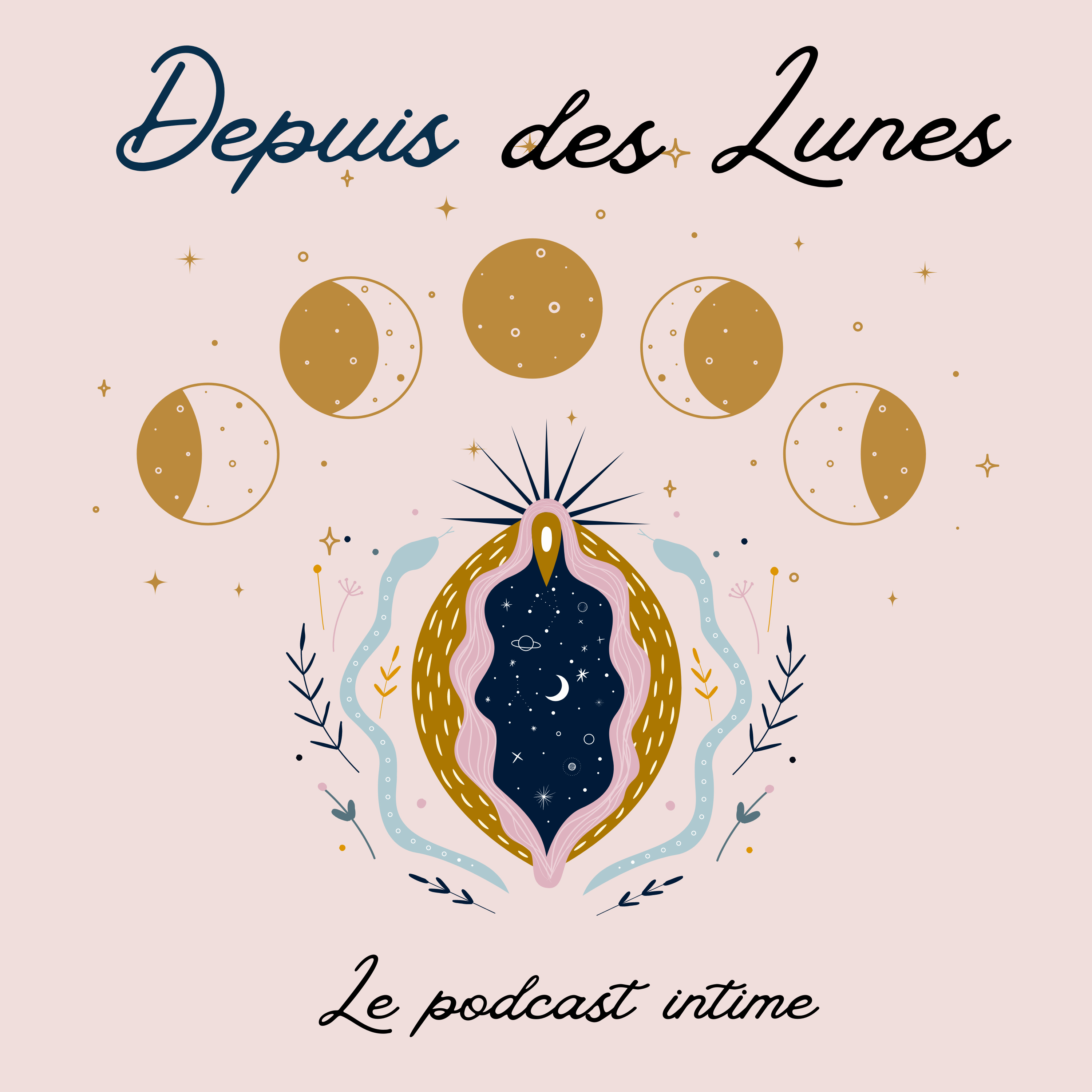 Depuis des Lunes podcast artwork