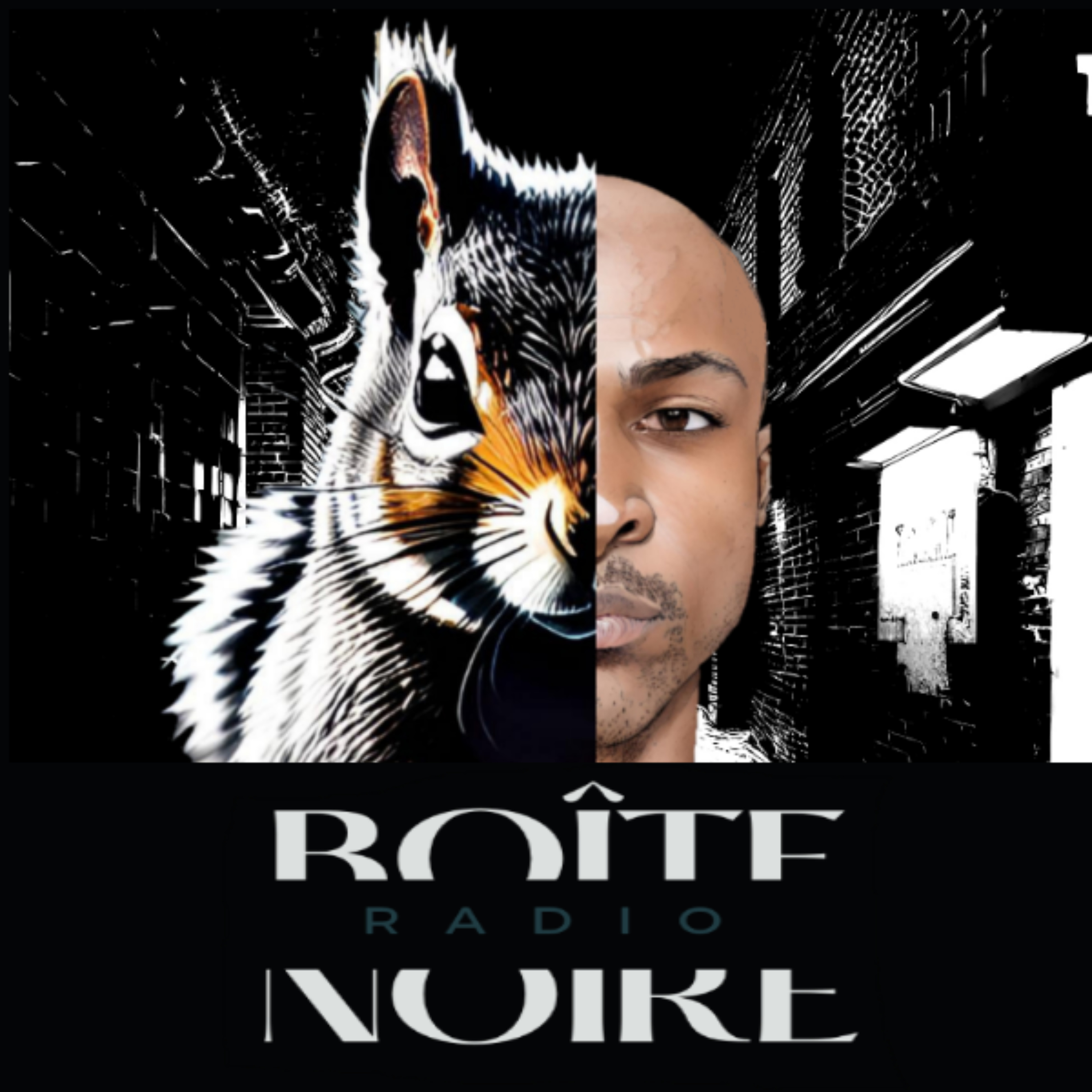 Boîte Noire Radio podcast artwork
