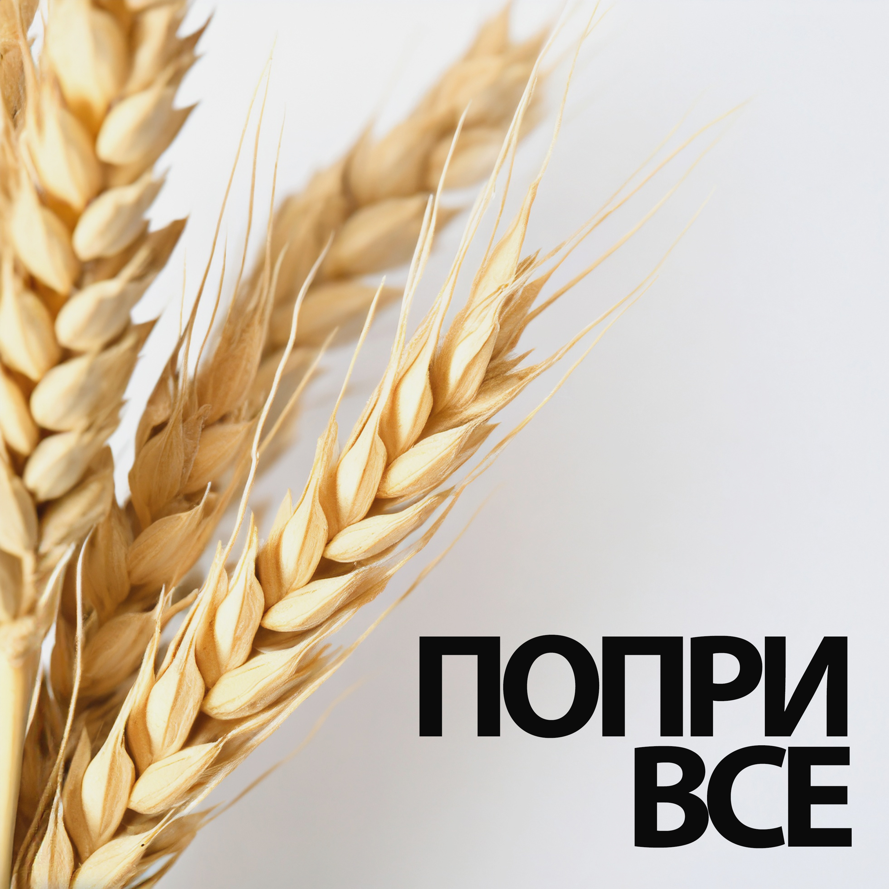 Попри все podcast artwork