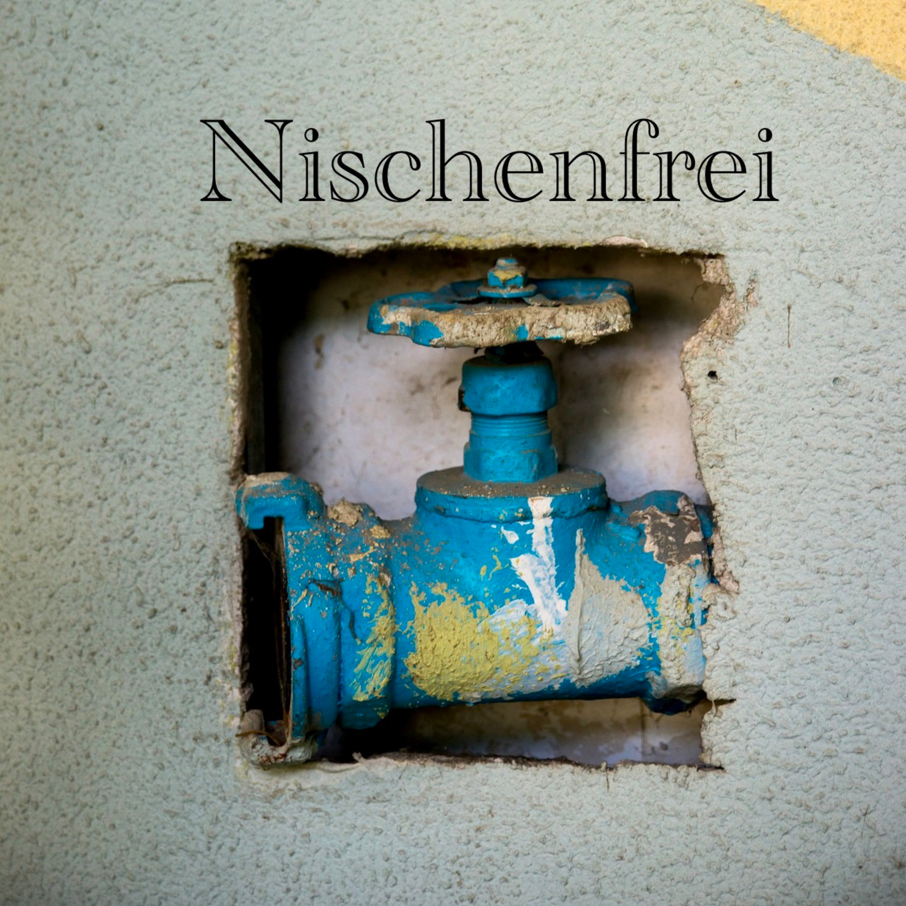 Nischenfrei podcast artwork