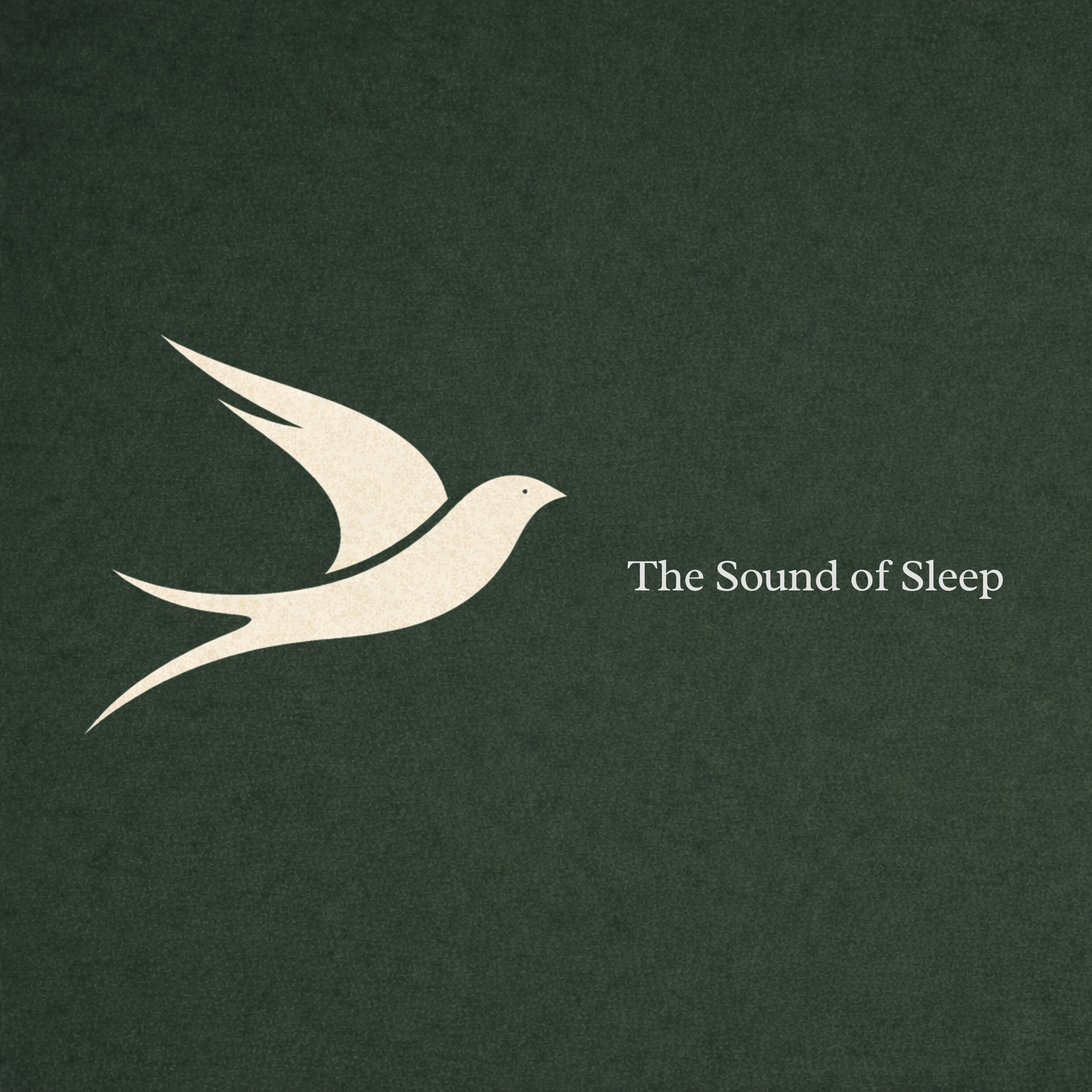 The Sound of Sleep podcast artwork