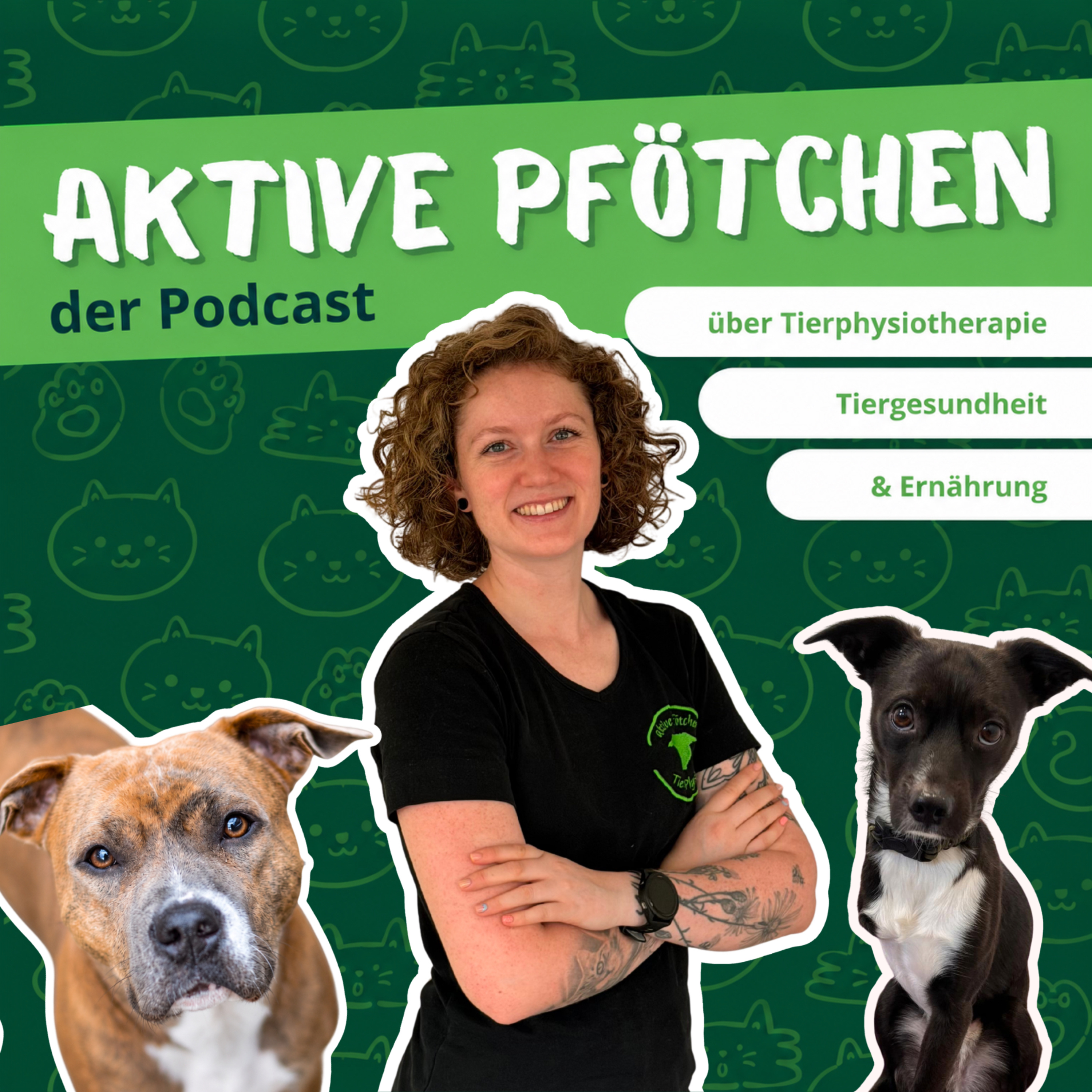 #6 Hilfsmittel für den Alltag: Senioren und gelenkkranke Tiere optimal unterstützen episode artwork