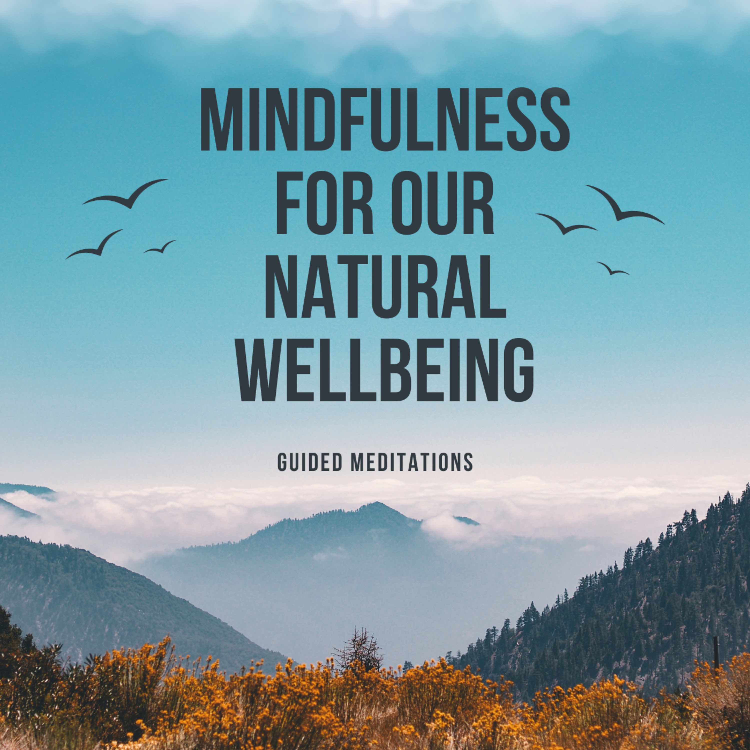 Mindfulness Meditations for Our Natural Wellbeing: Audiobook
