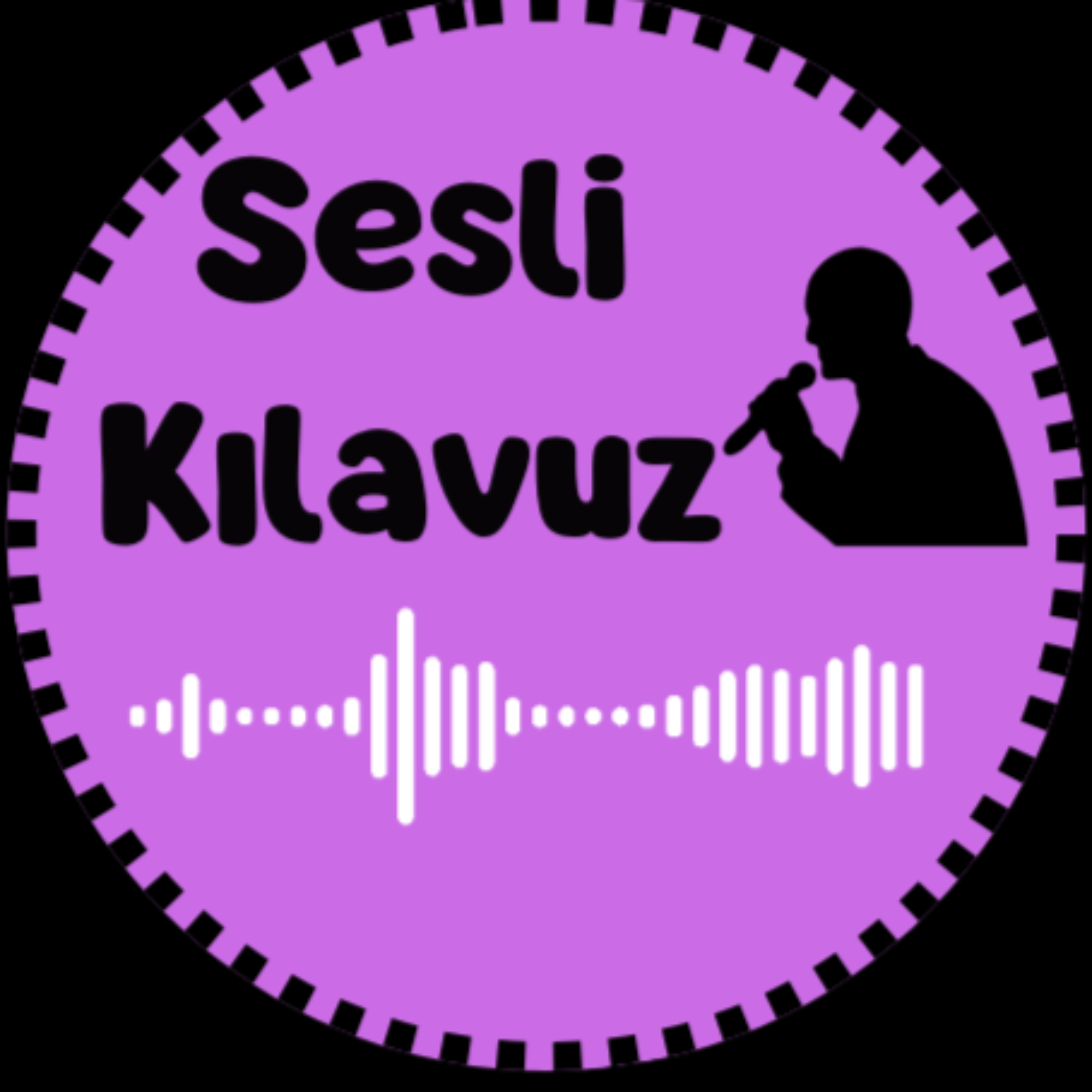 Sesli Kılavuz podcast artwork