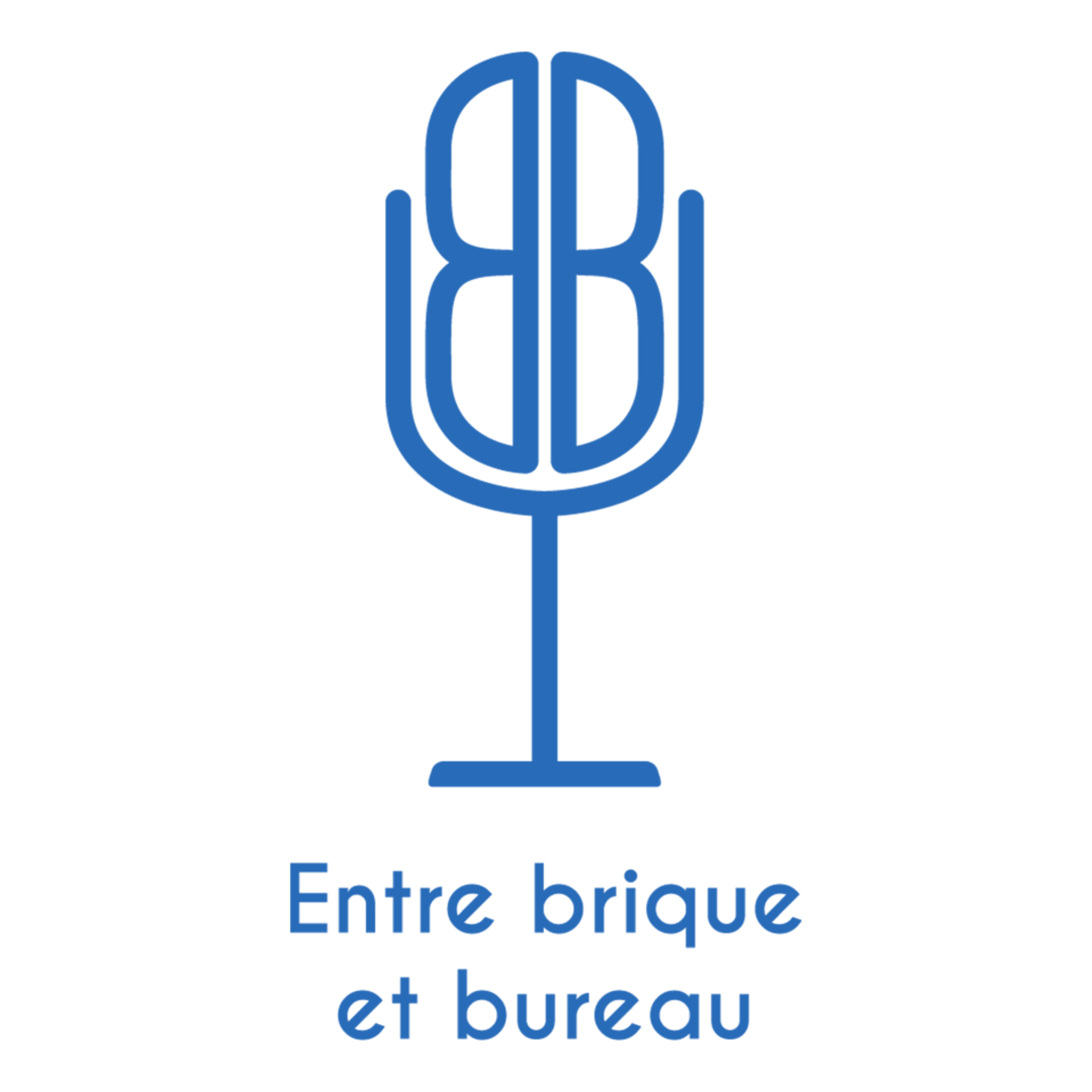 Podcast Entrepreneur - Entre Brique et Bureau