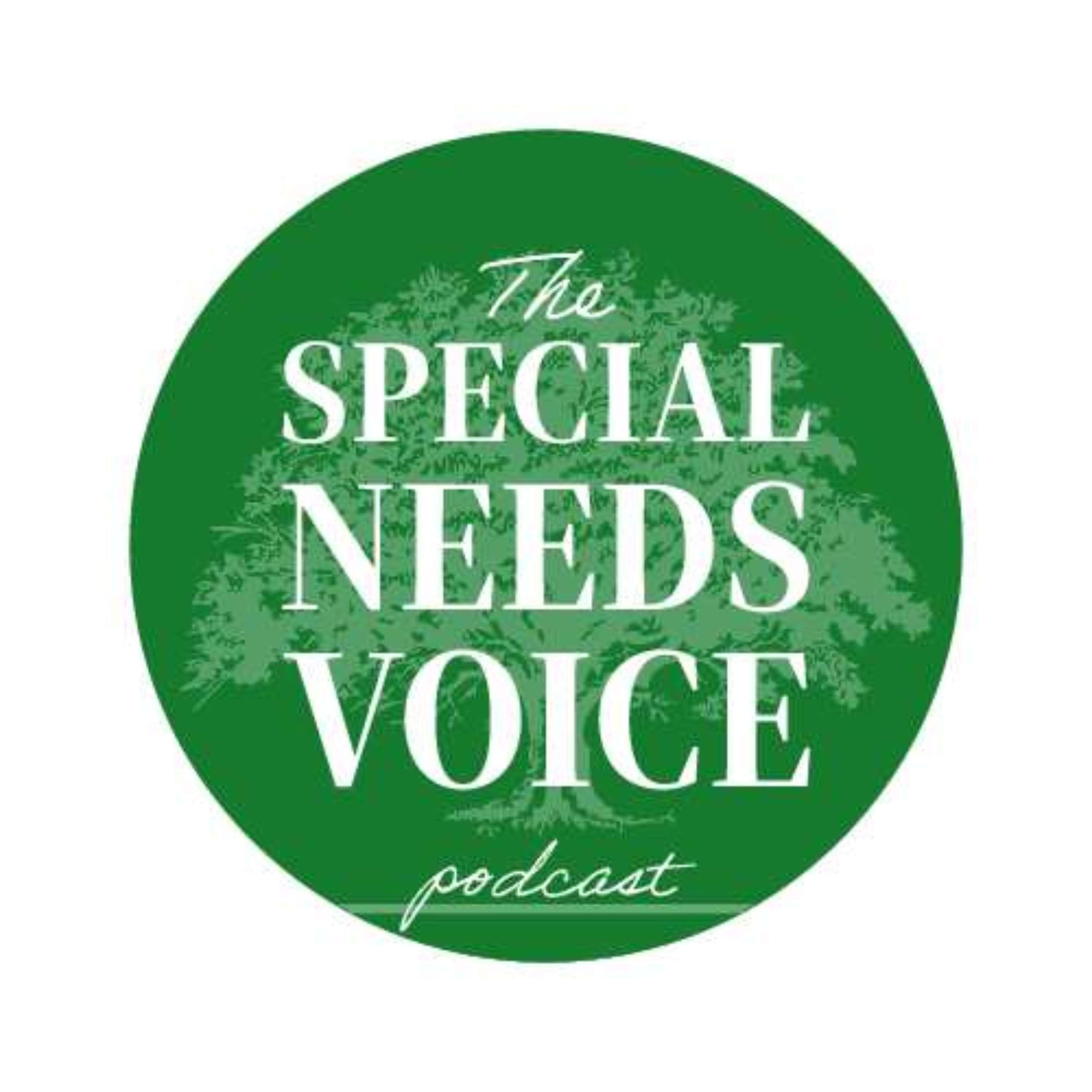 Re-Introducing The Special Needs Voice