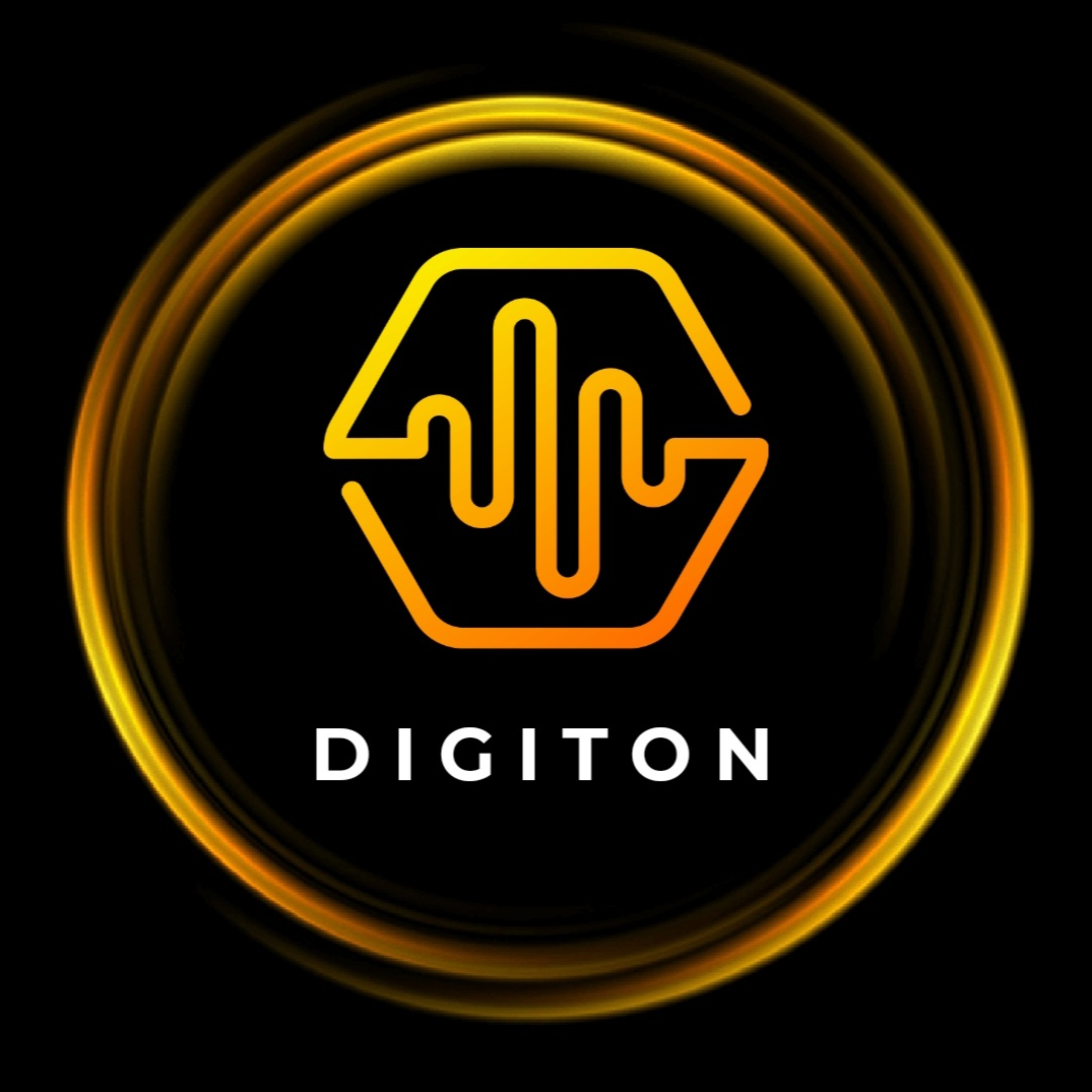 Digiton Academy