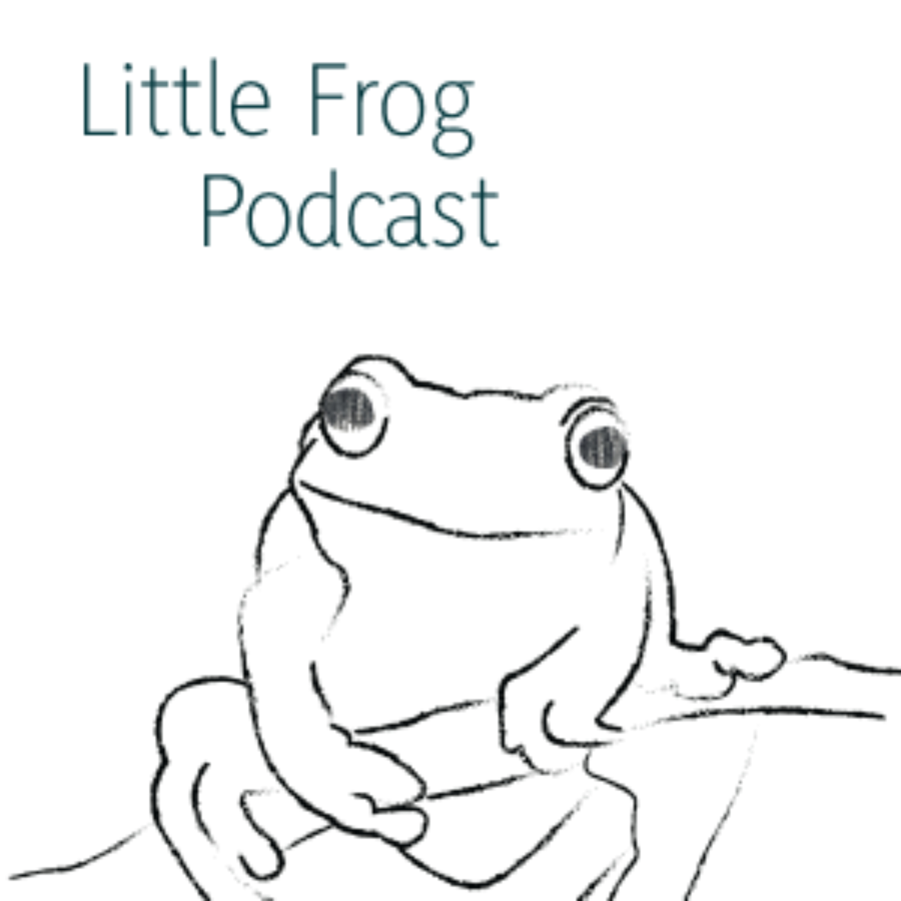 Little Frog Podcast podcast artwork