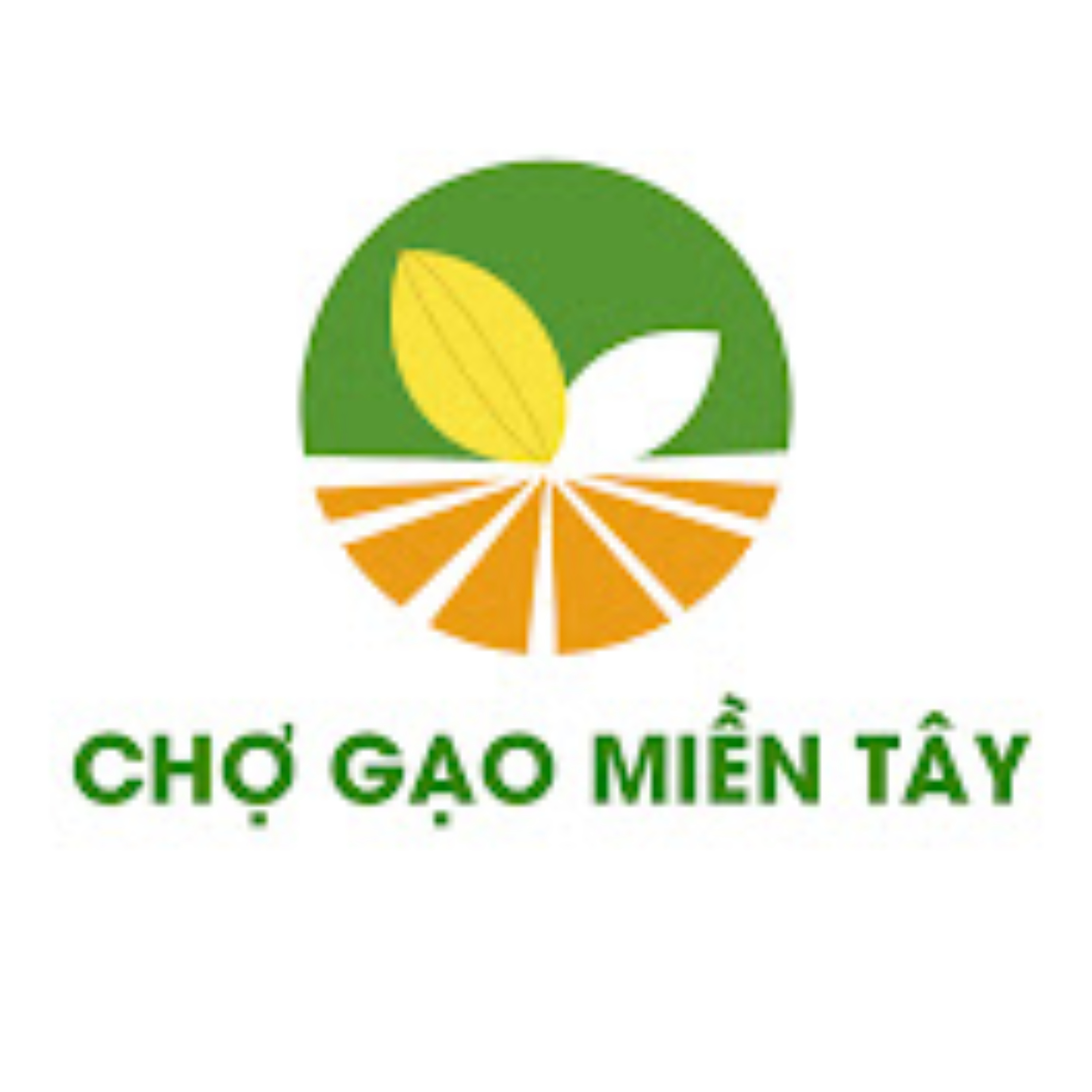Kiến Thức Ngành Gạo cover