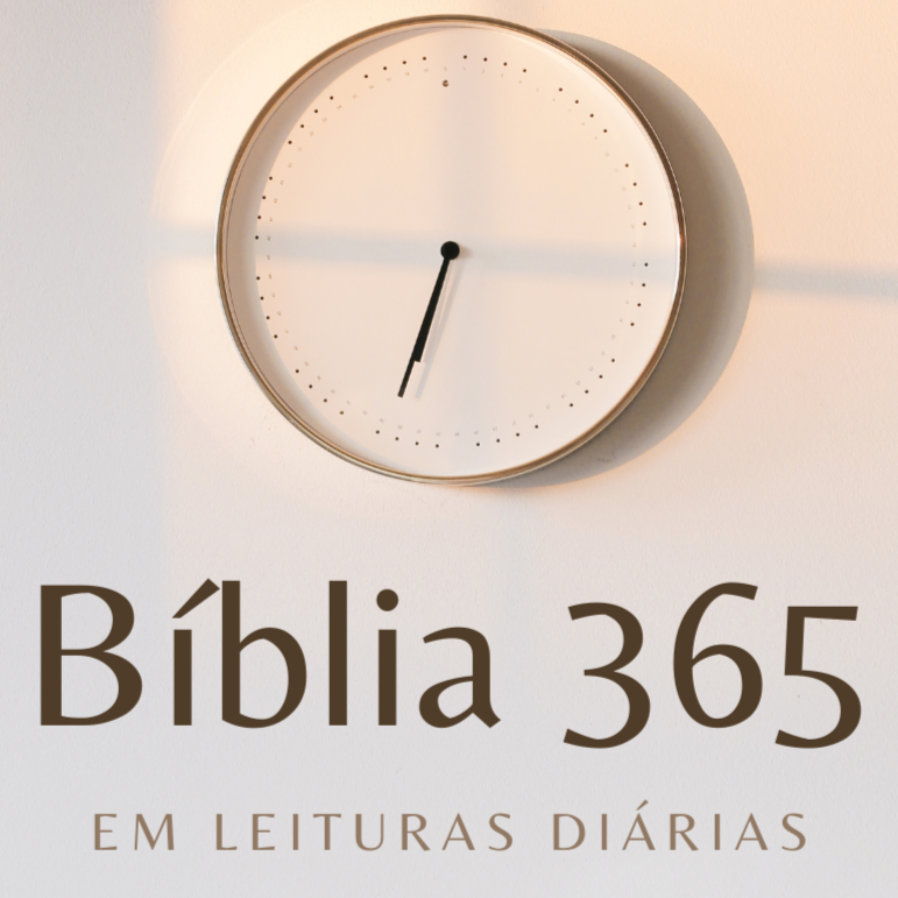 Bíblia 365 Lendo a História de Deus