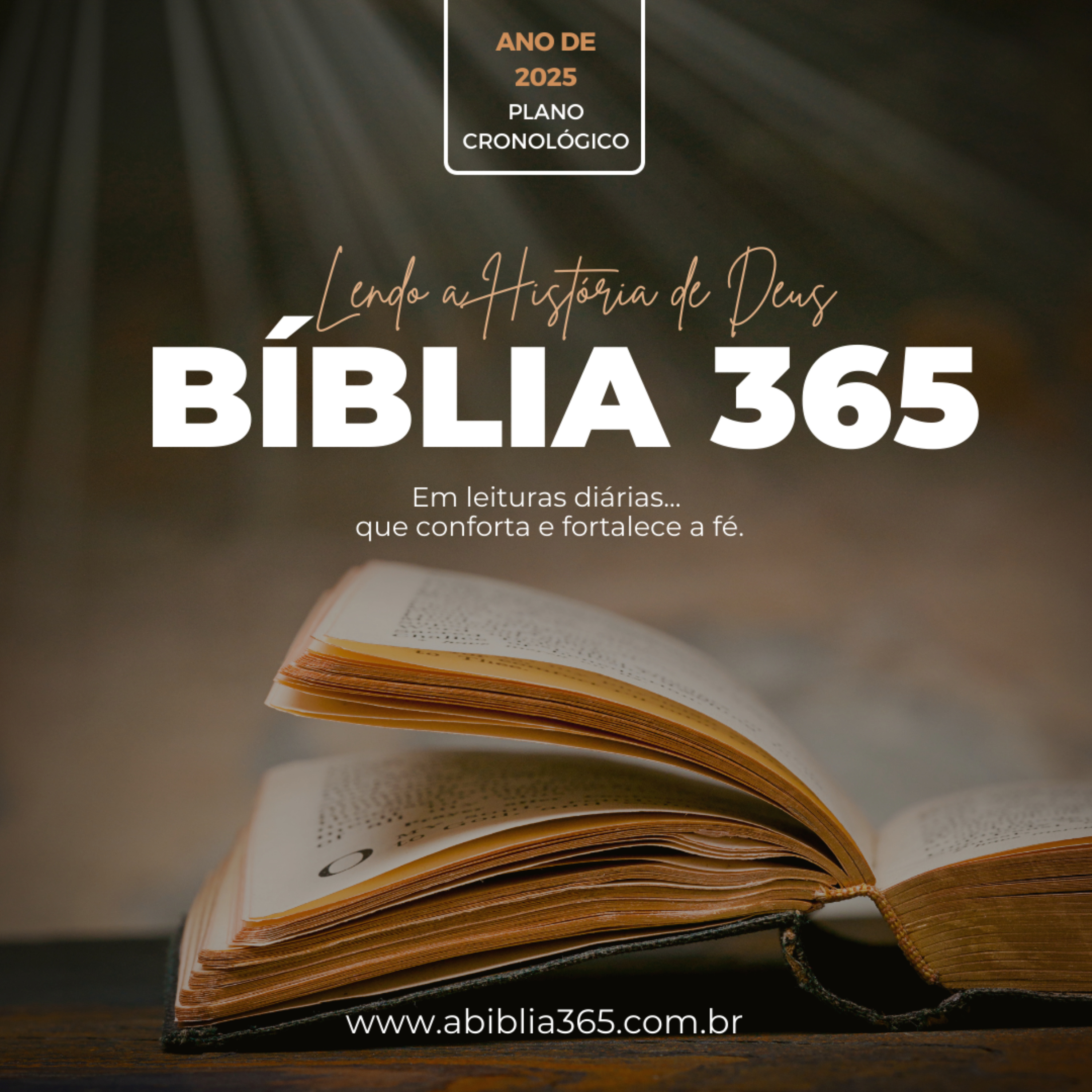 Bíblia 365 – Em Palavras Diárias (Lendo a História de Deus)