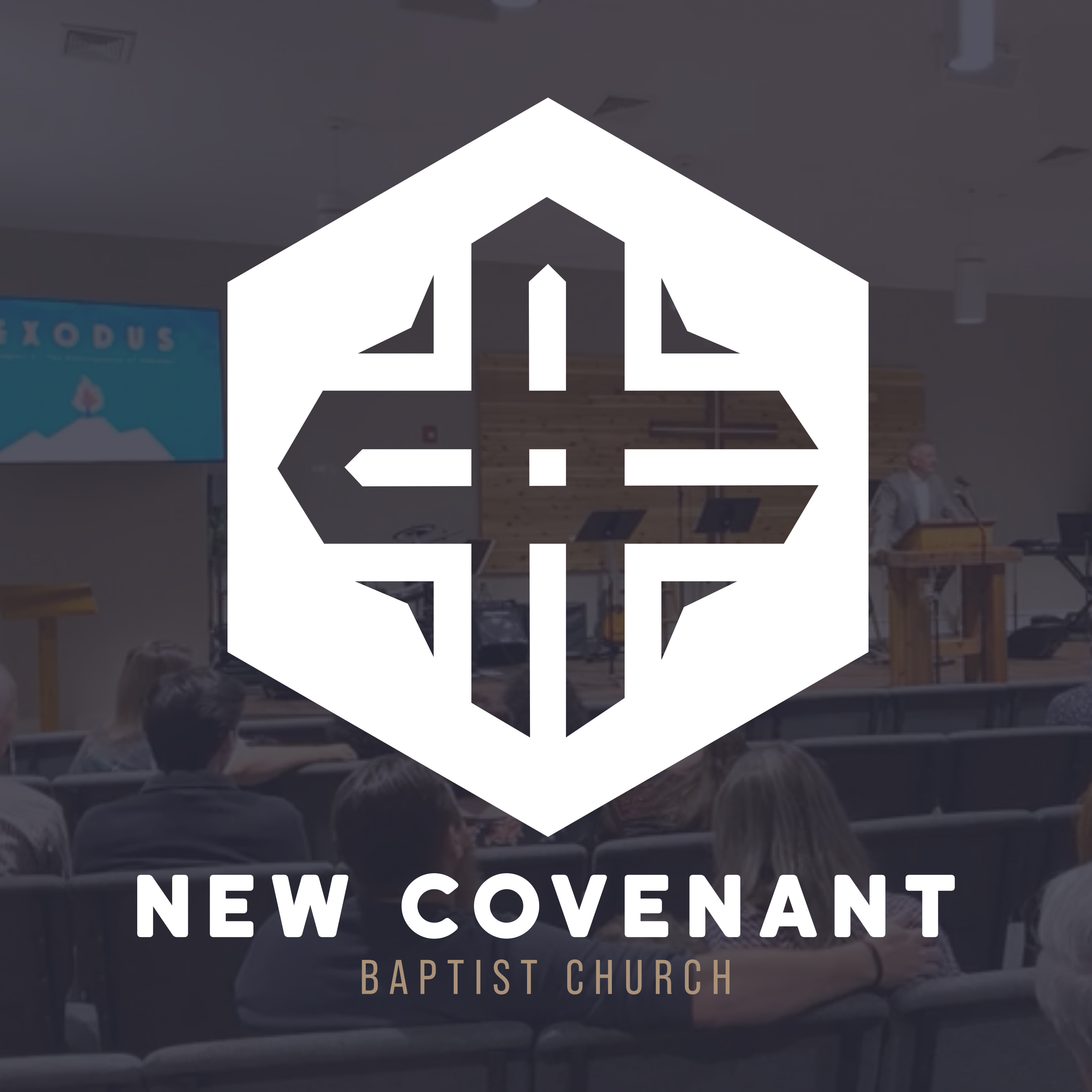 New Covenant Baptist Church Albertville, AL podcast artwork
