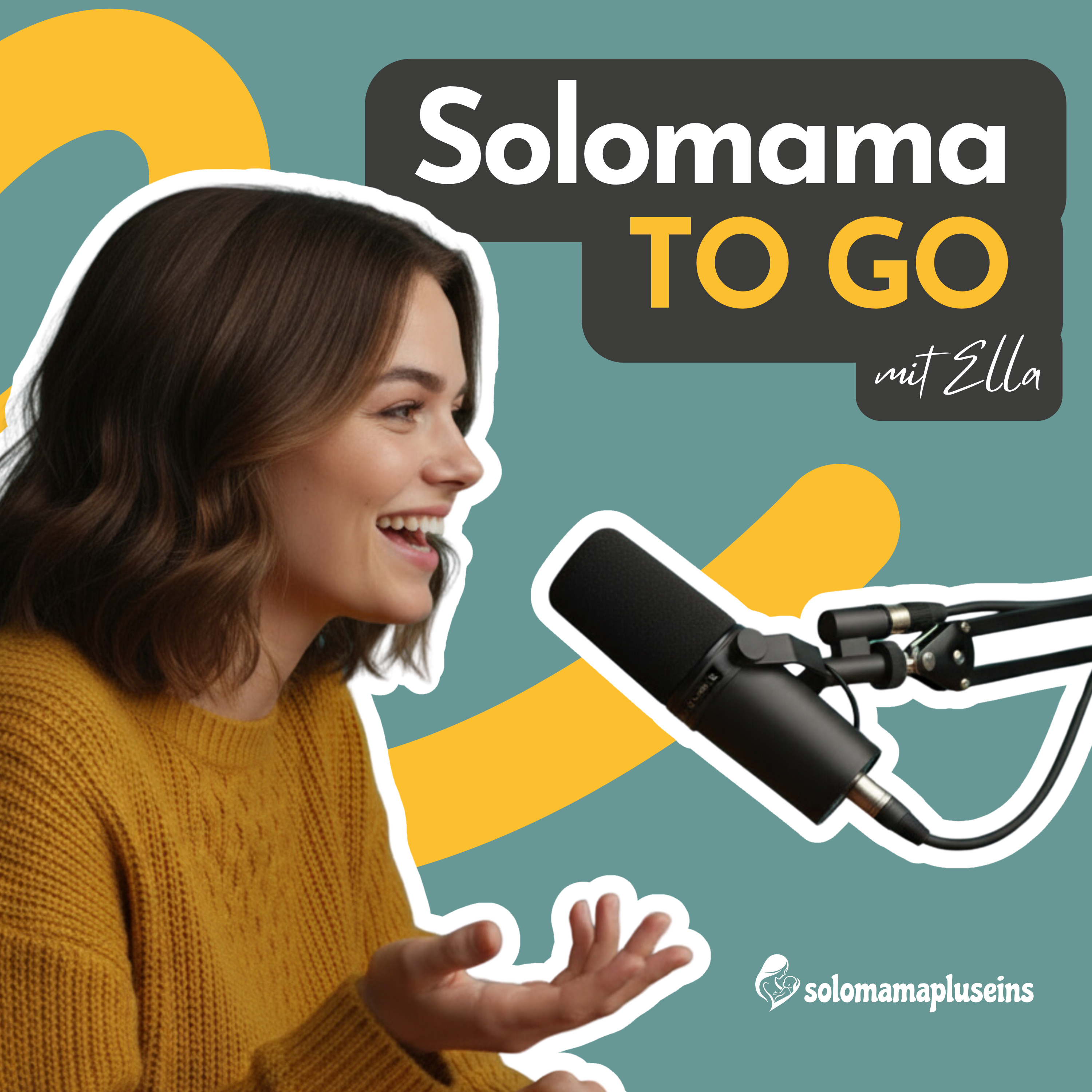 Solomama TO GO. Recht, Realität und Alltag von Solomüttern und Solo-Frauen mit Kinderwunsch