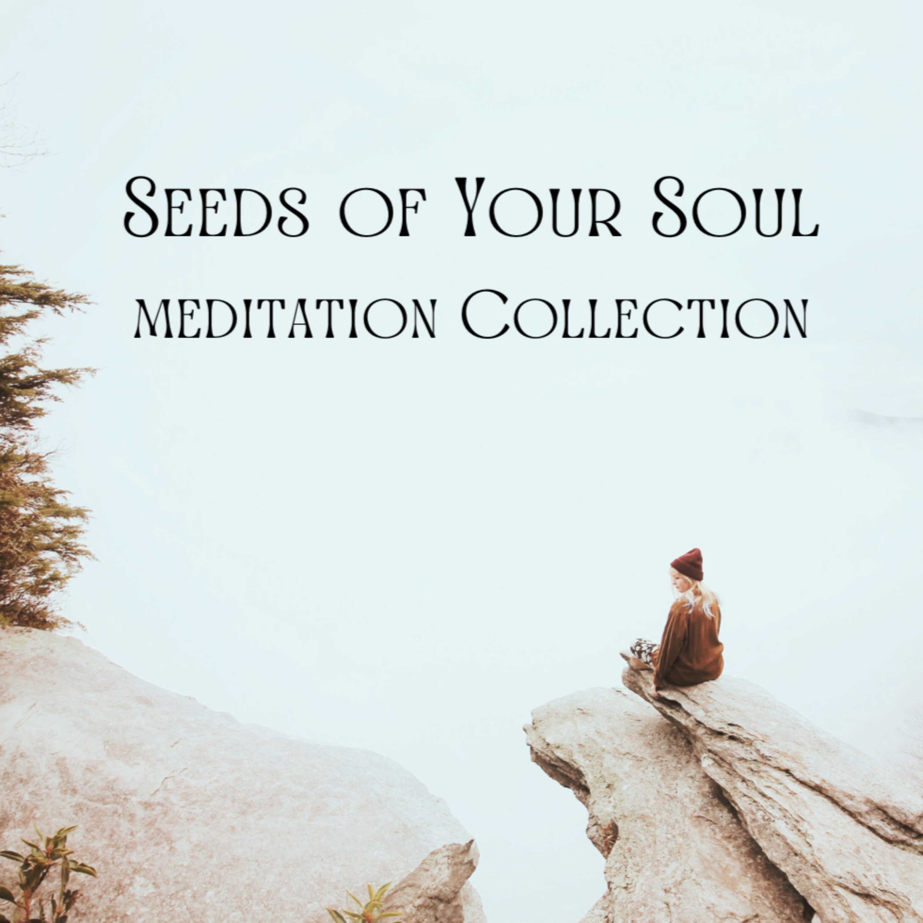 Seeds of Your Soul Meditation Collection
