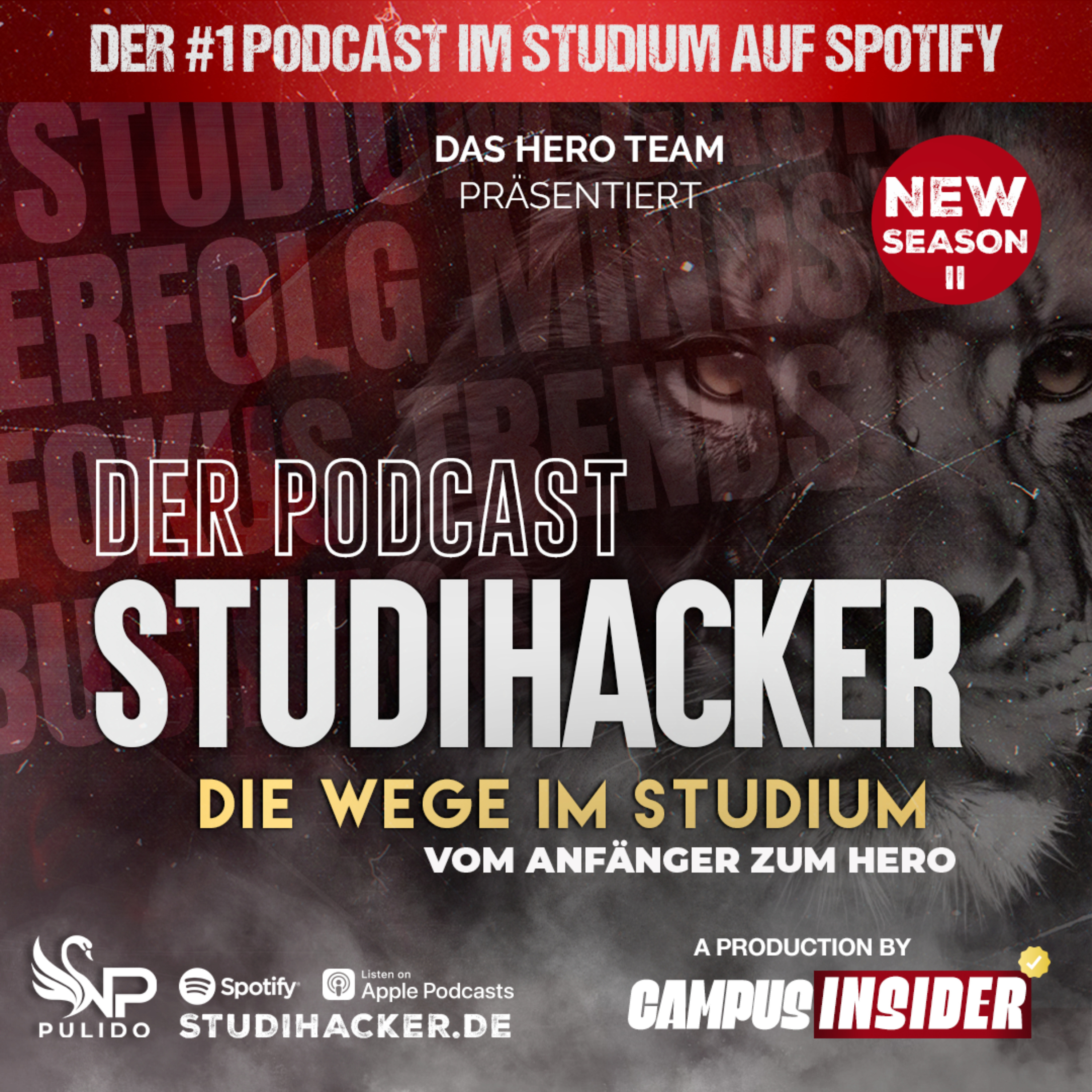 Der Studihacker – Die Wege im Studium podcast artwork