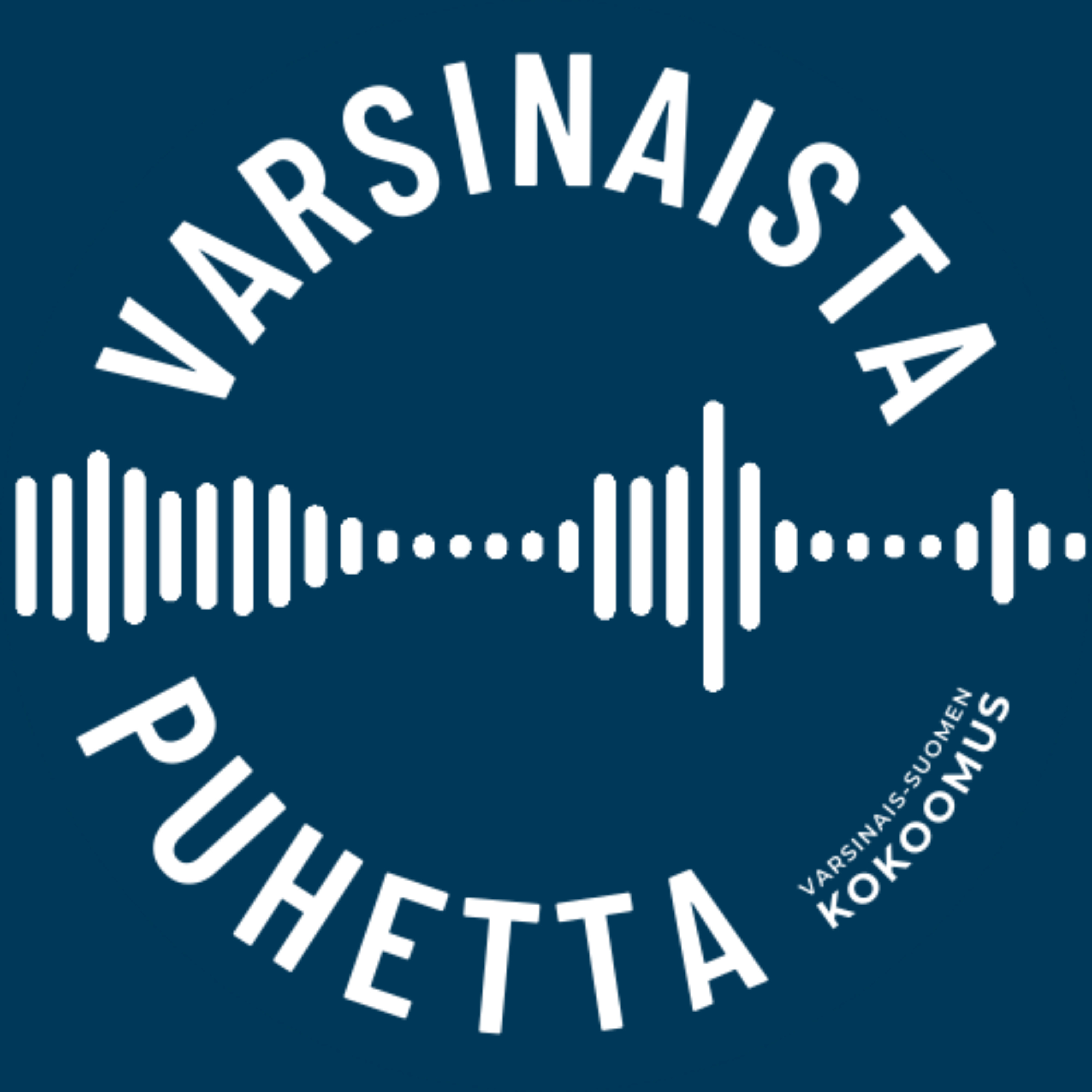 Varsinaista puhetta
