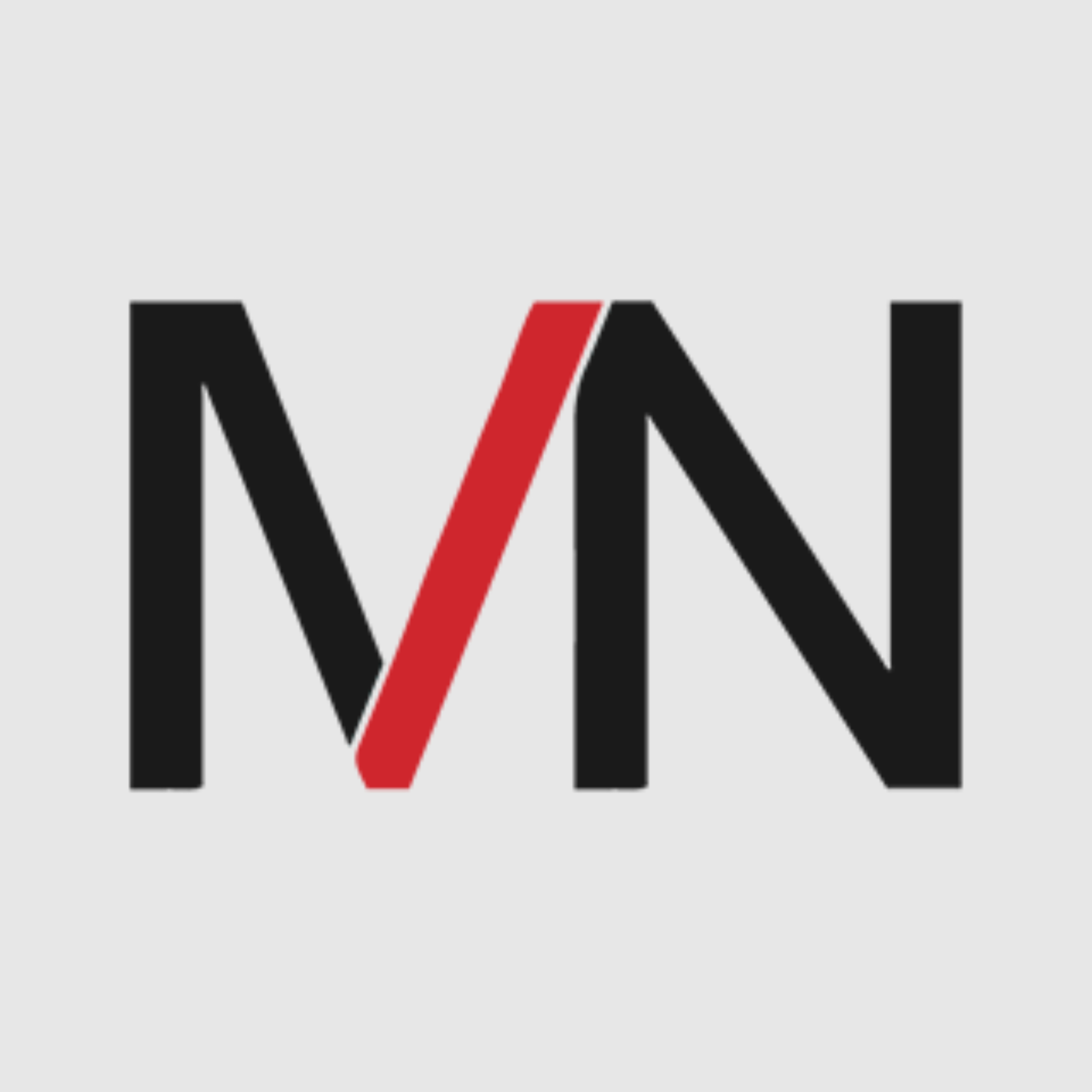 The MN Society Style Guide by Marc Nelson