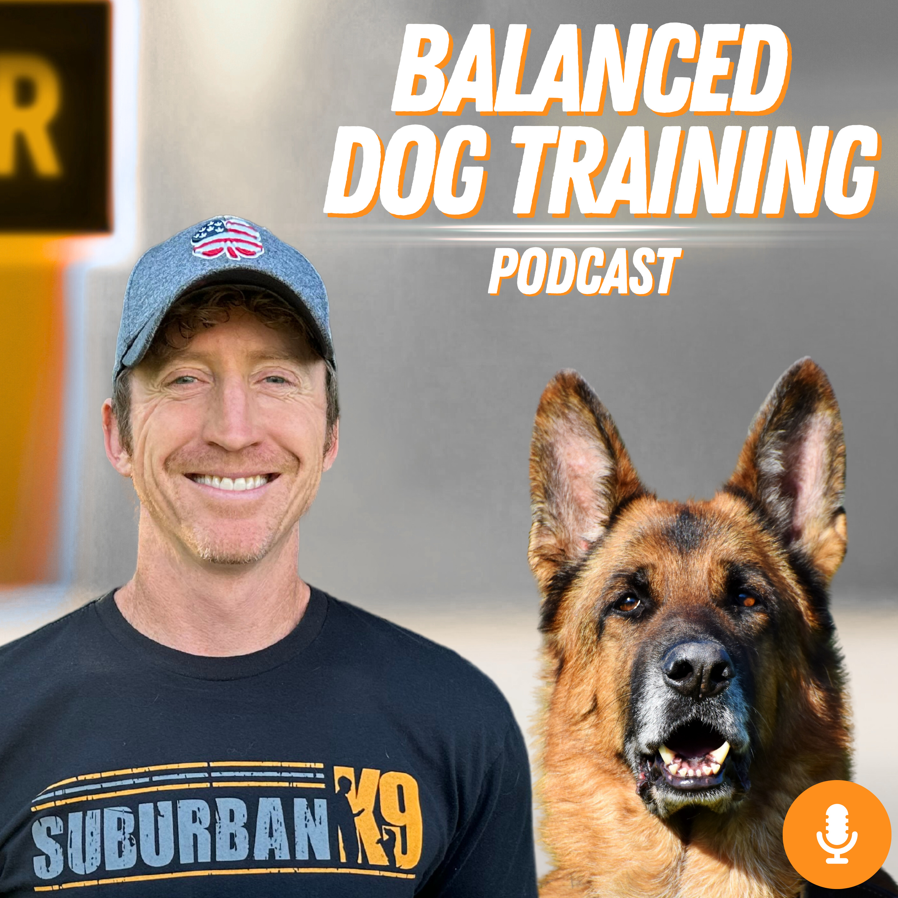 Taking Dog Training Questions From Our Listeners