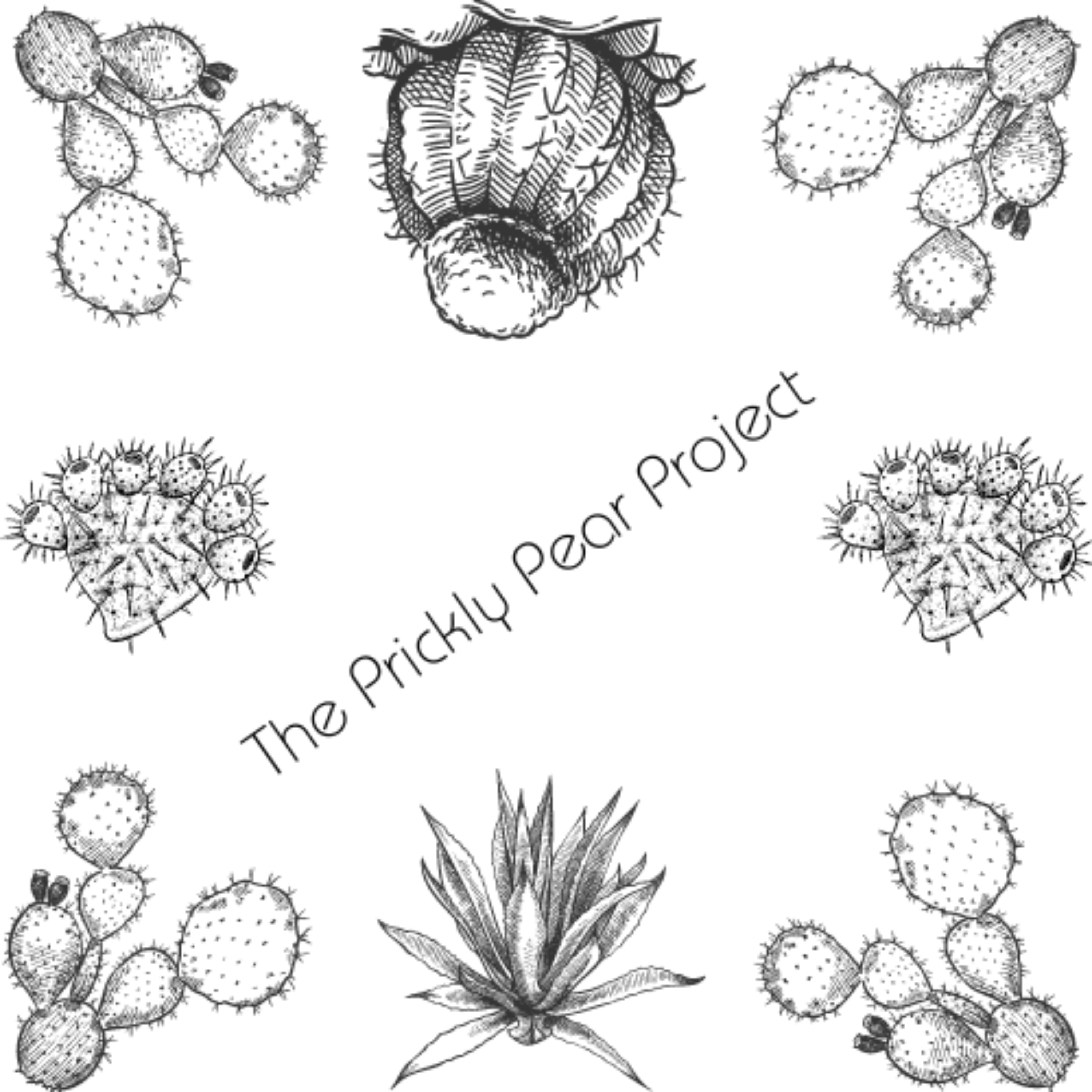 The Prickly Pear Project