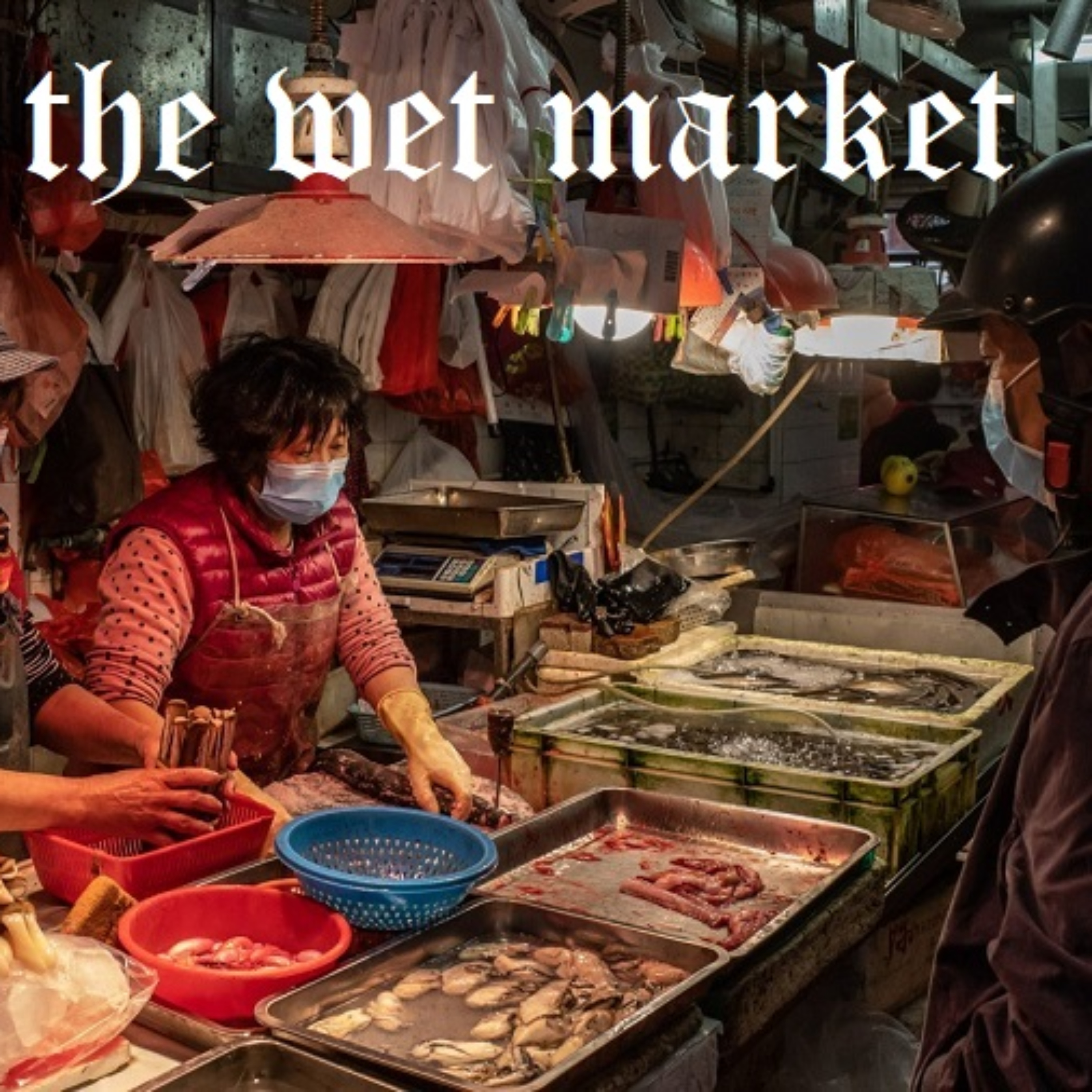 The wet market podcast artwork