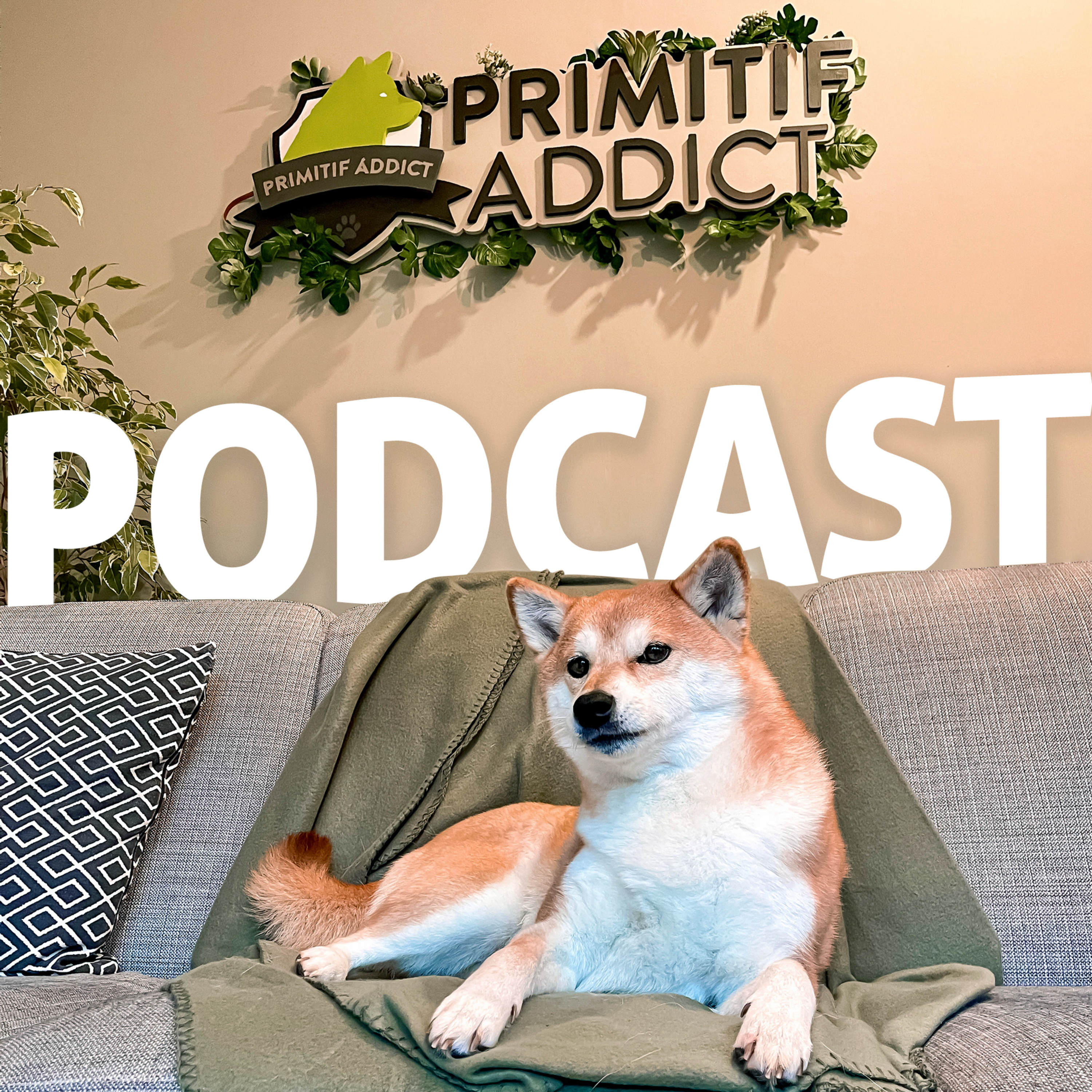 Primitif Addict Le Podcast pour comprendre ton chien