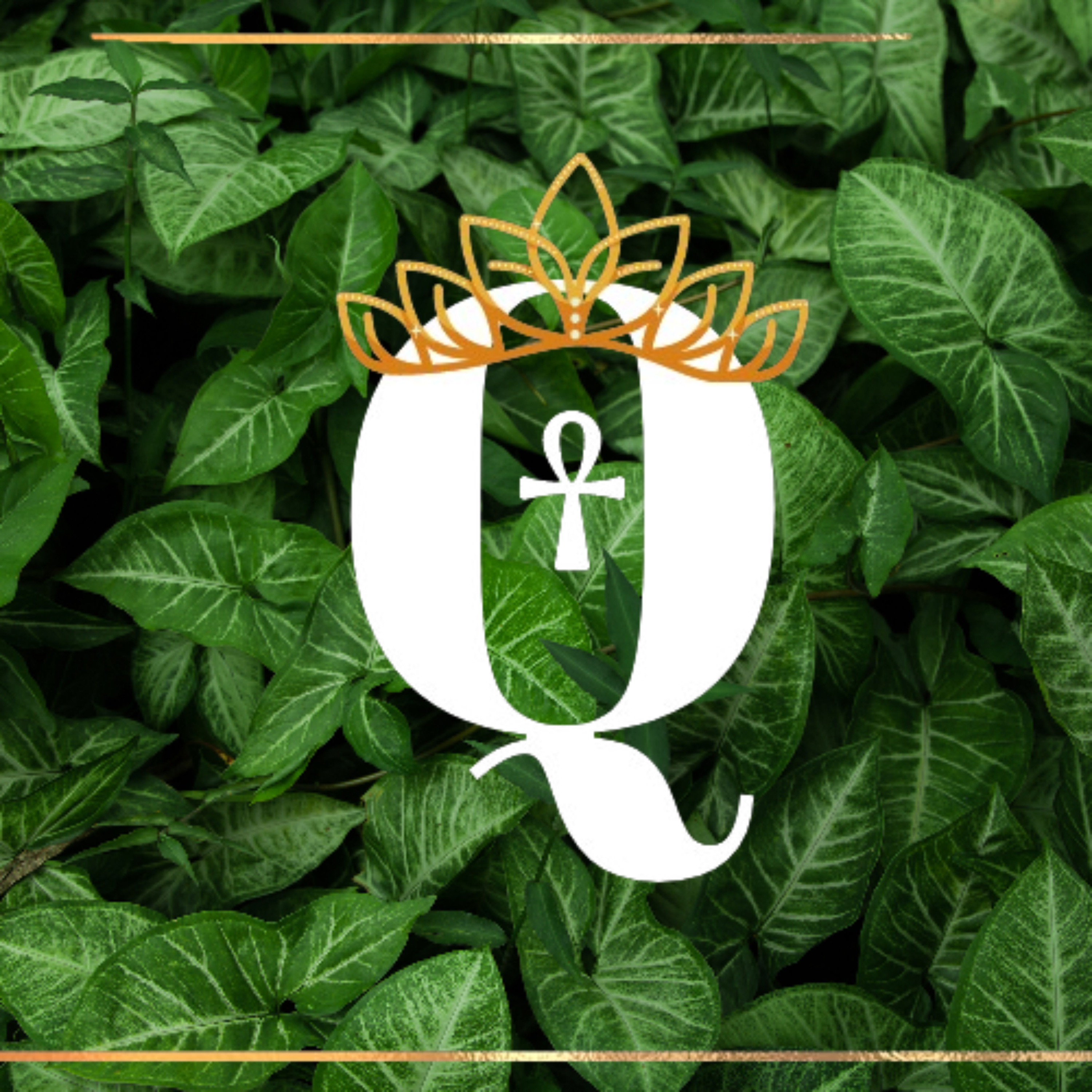 The RAWvolution podcast with Queen Aline