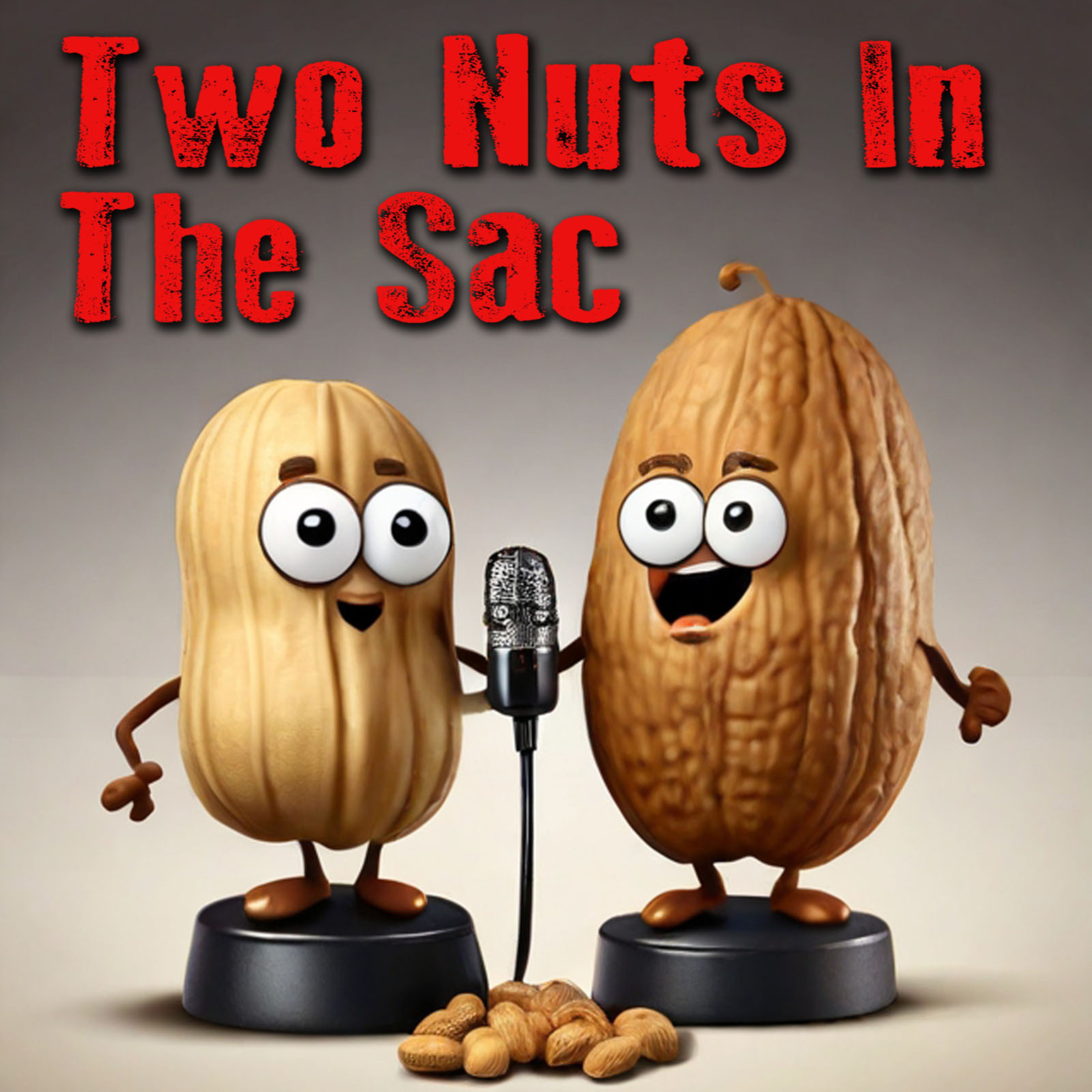 Two Nuts In The Sac podcast artwork