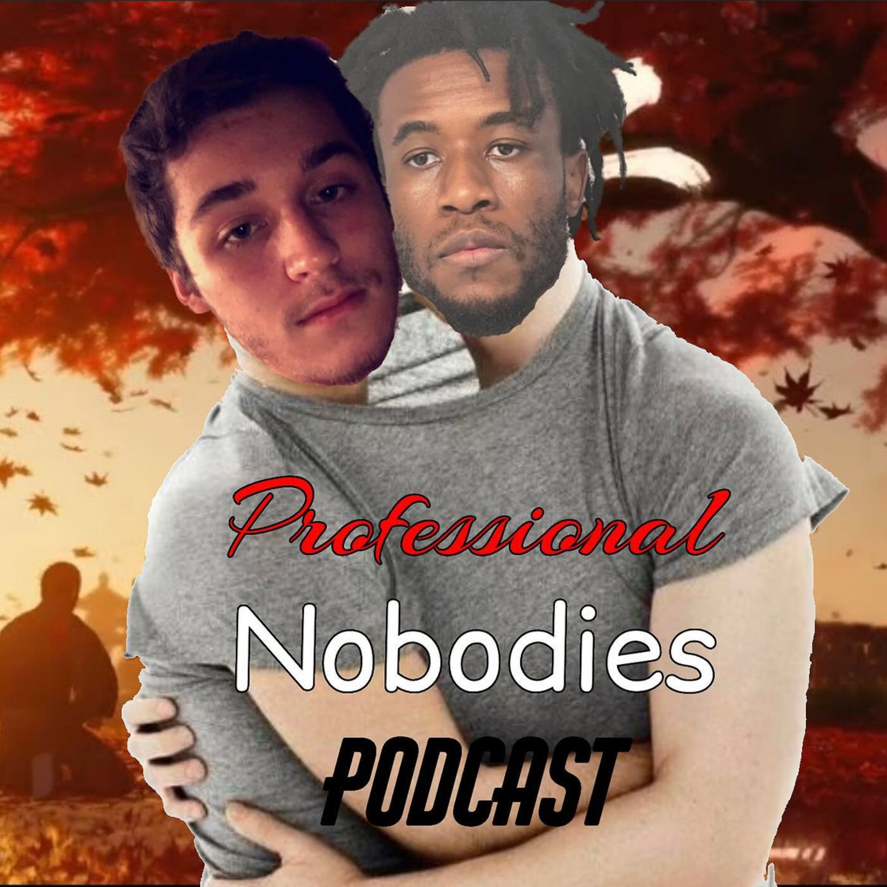 Professional Nobodies podcast artwork