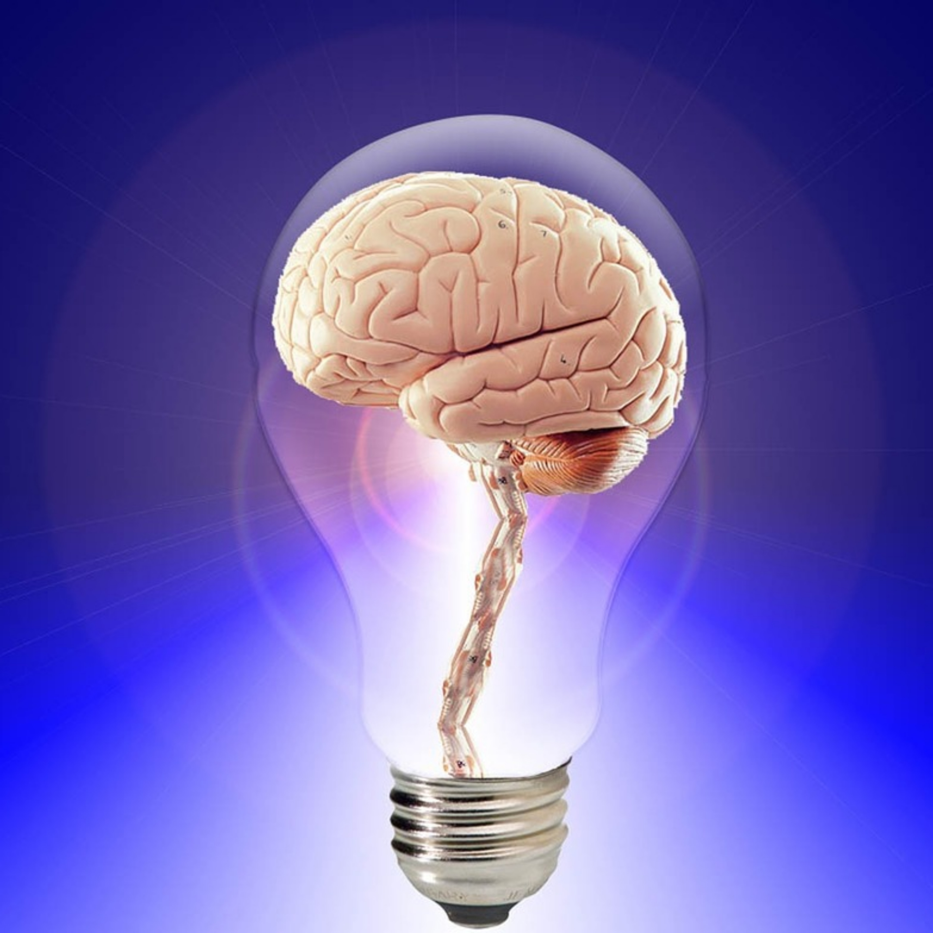 Momentary Experts
