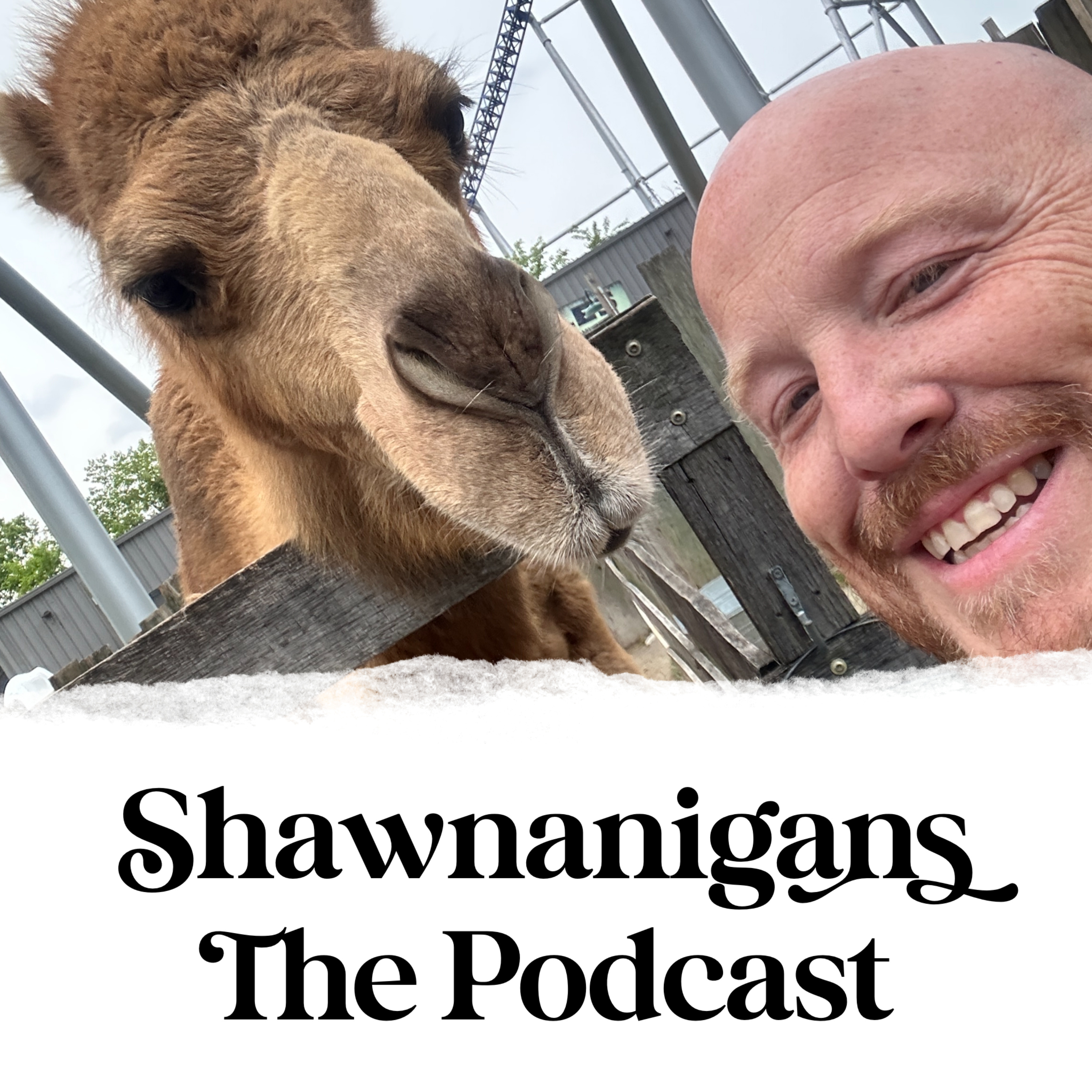 SHAWNANIGANS The Podcast podcast artwork