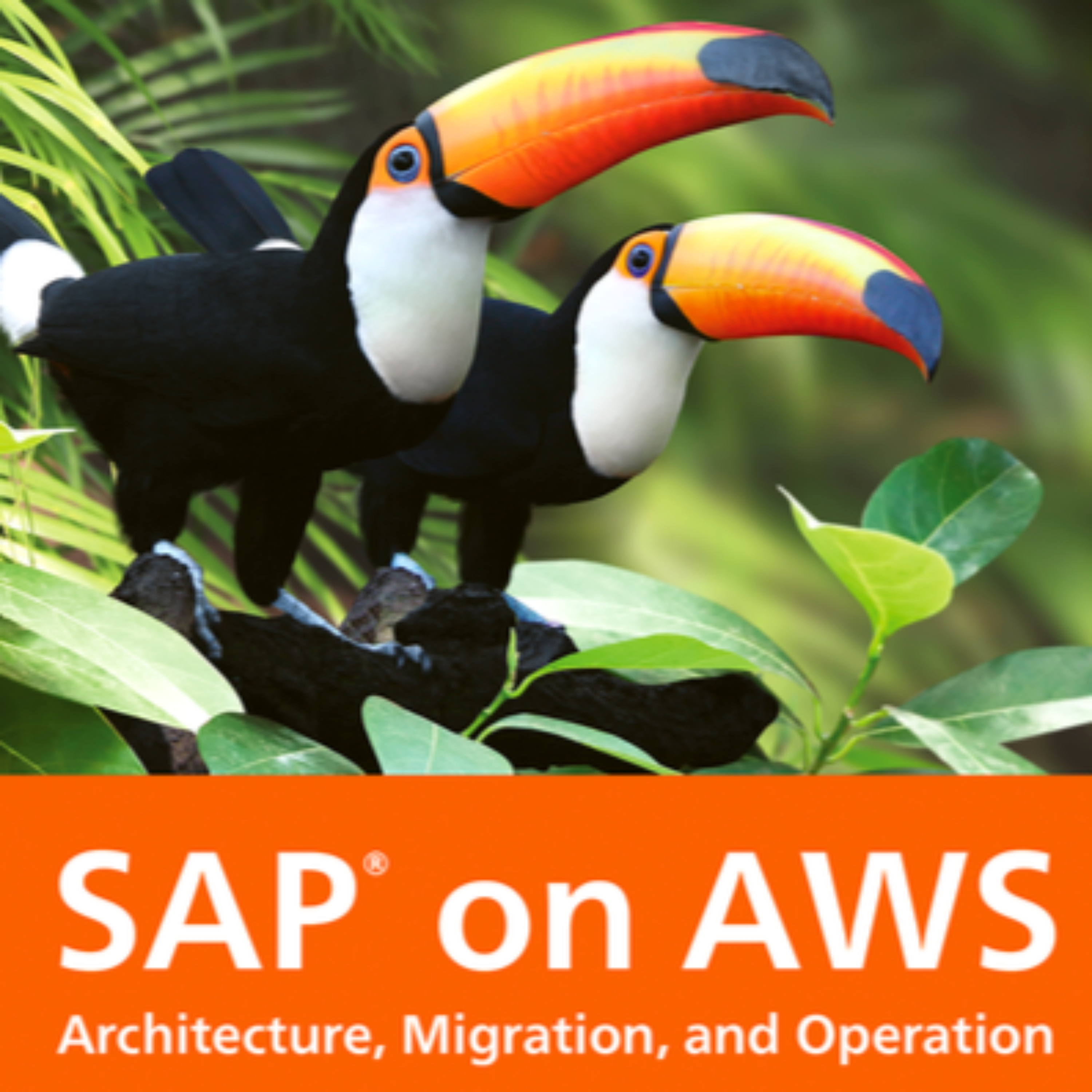 SAP on AWS Book | Your How to Guide by SAP PRESS