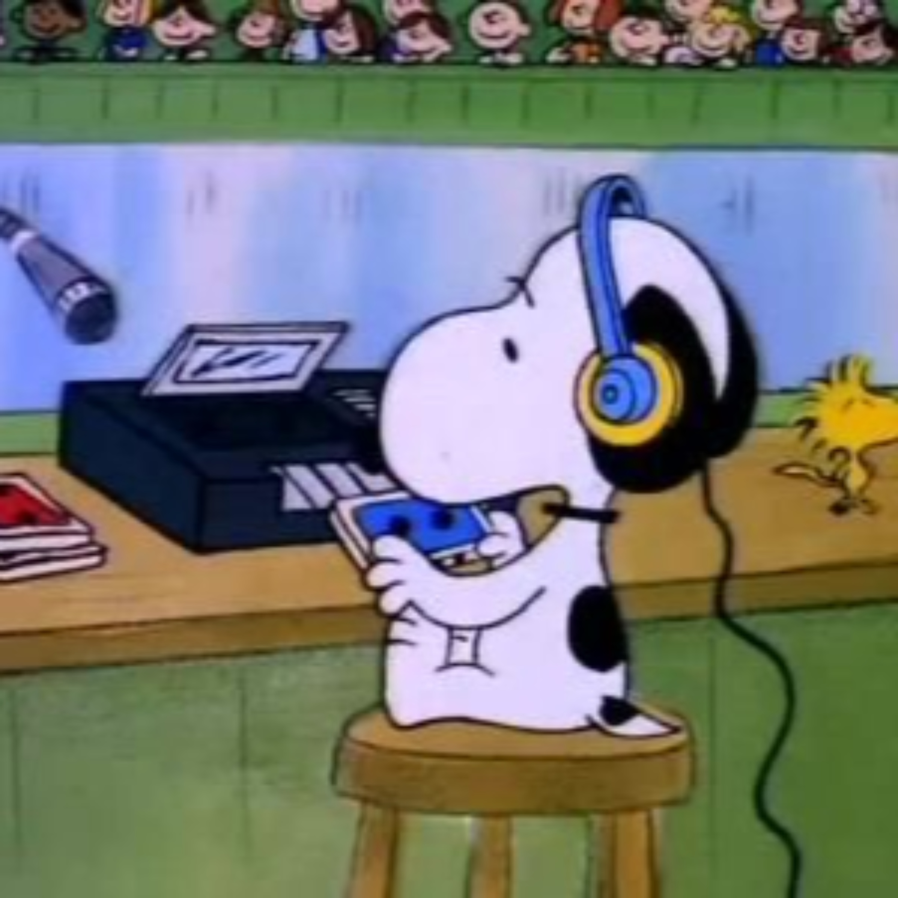 the yaracast