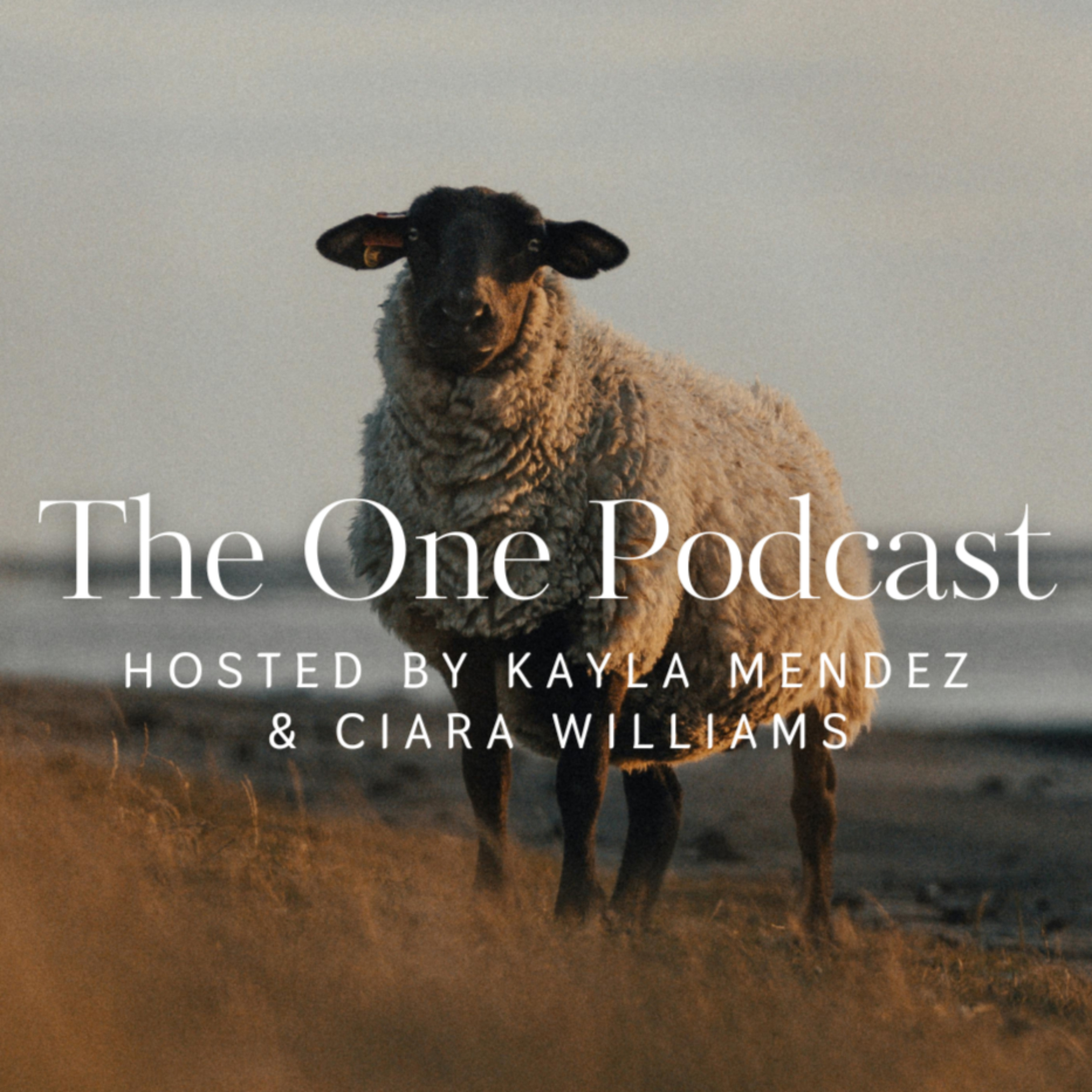 The One Podcast
