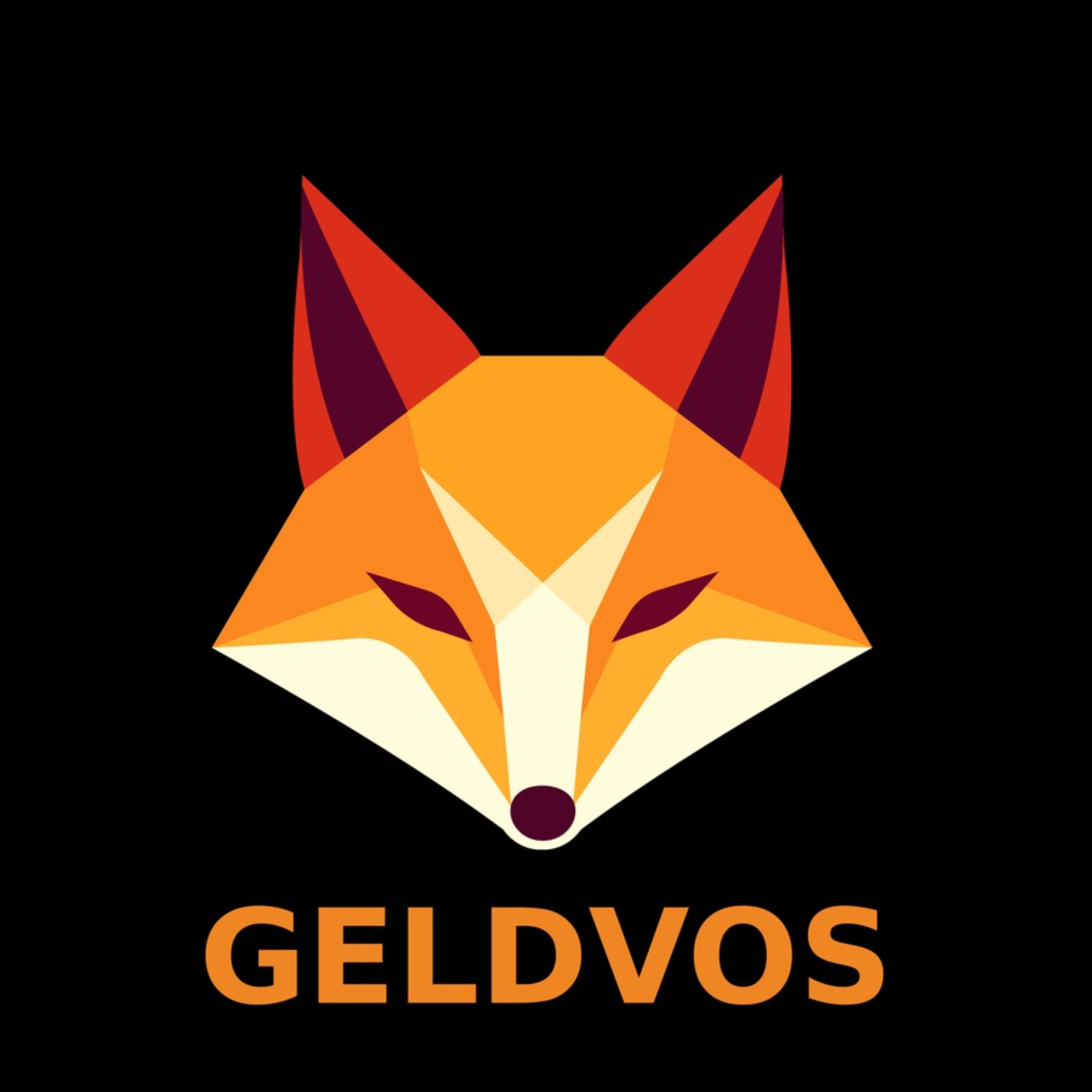 Geldvos - Beter beleggen