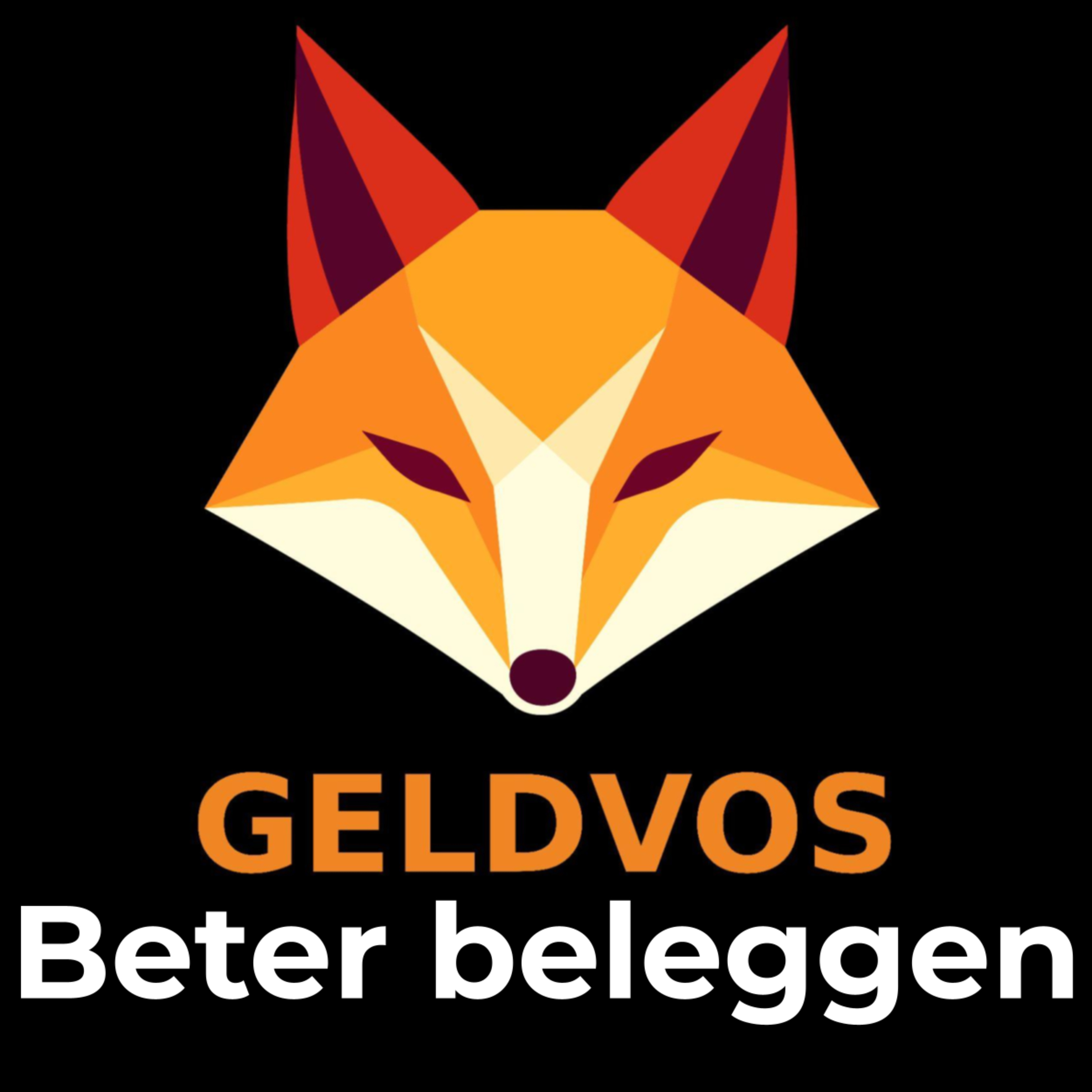 Geldvos - Beter beleggen